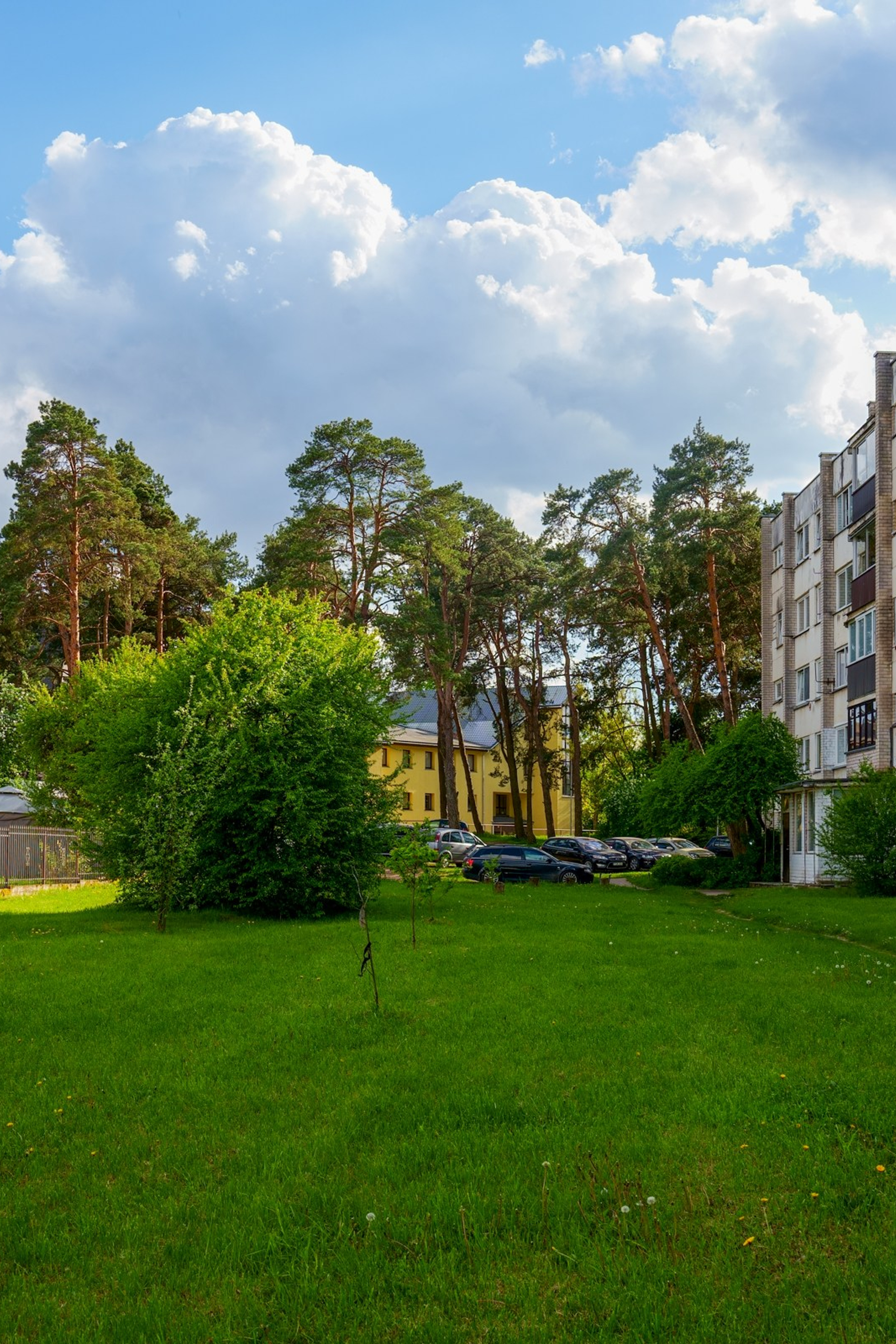 Šumskio g. 5. Elina Sapiega fotografė Vilniuje