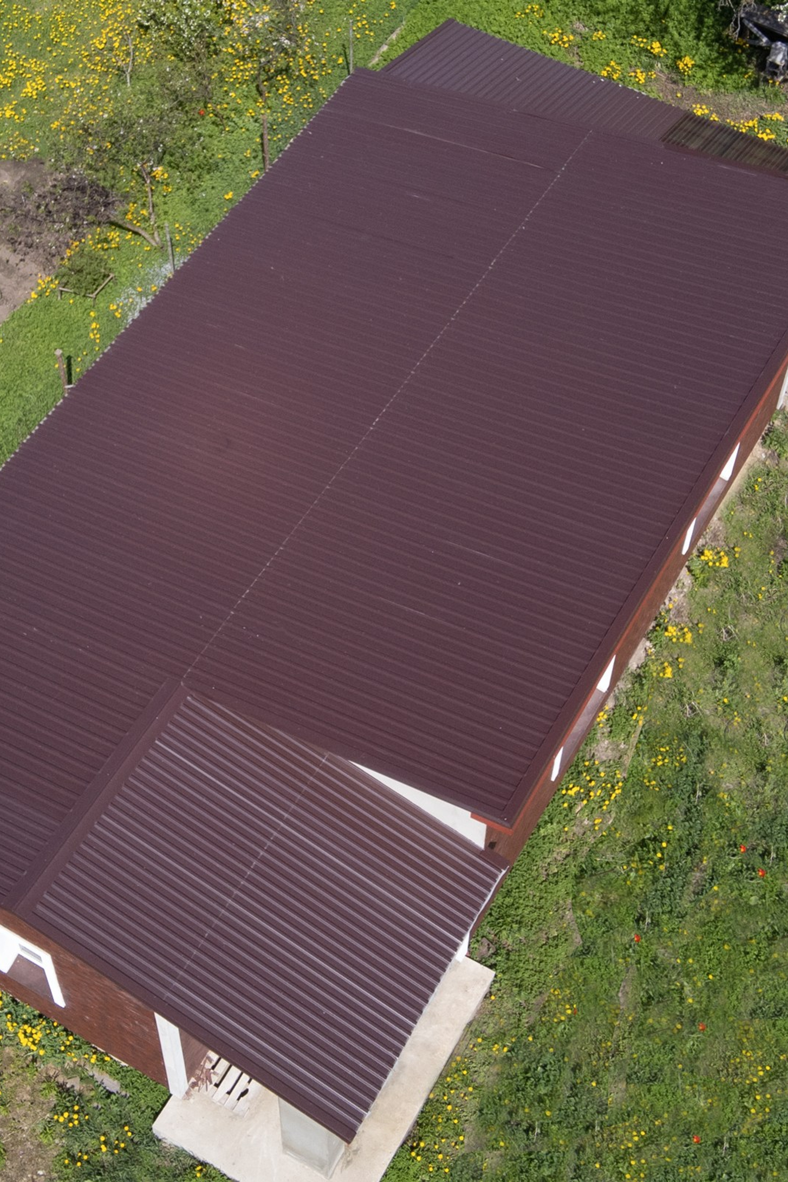 Šumskio g. 5. Elina Sapiega fotografė Vilniuje