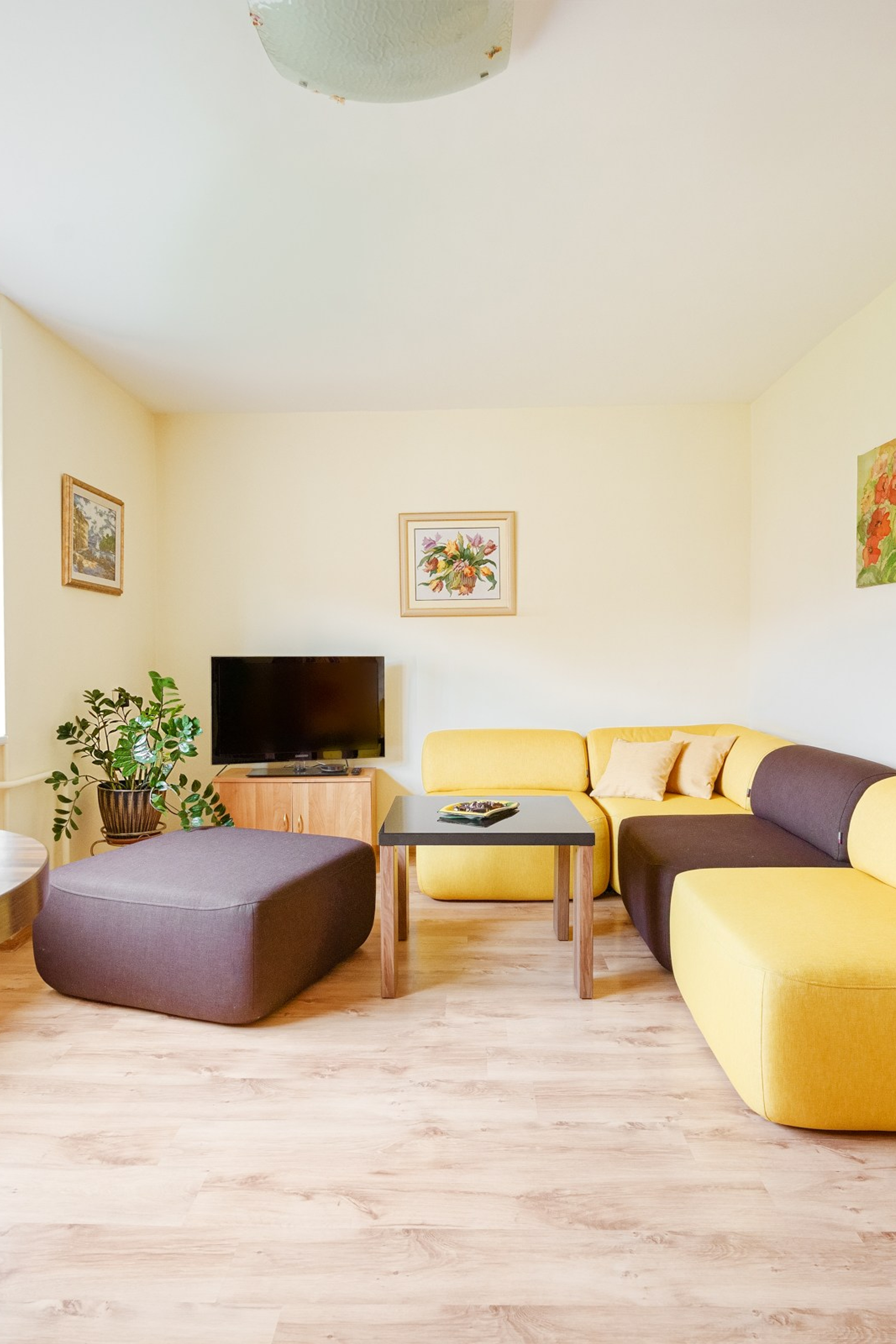 Šumskio g. 5. Elina Sapiega fotografė Vilniuje