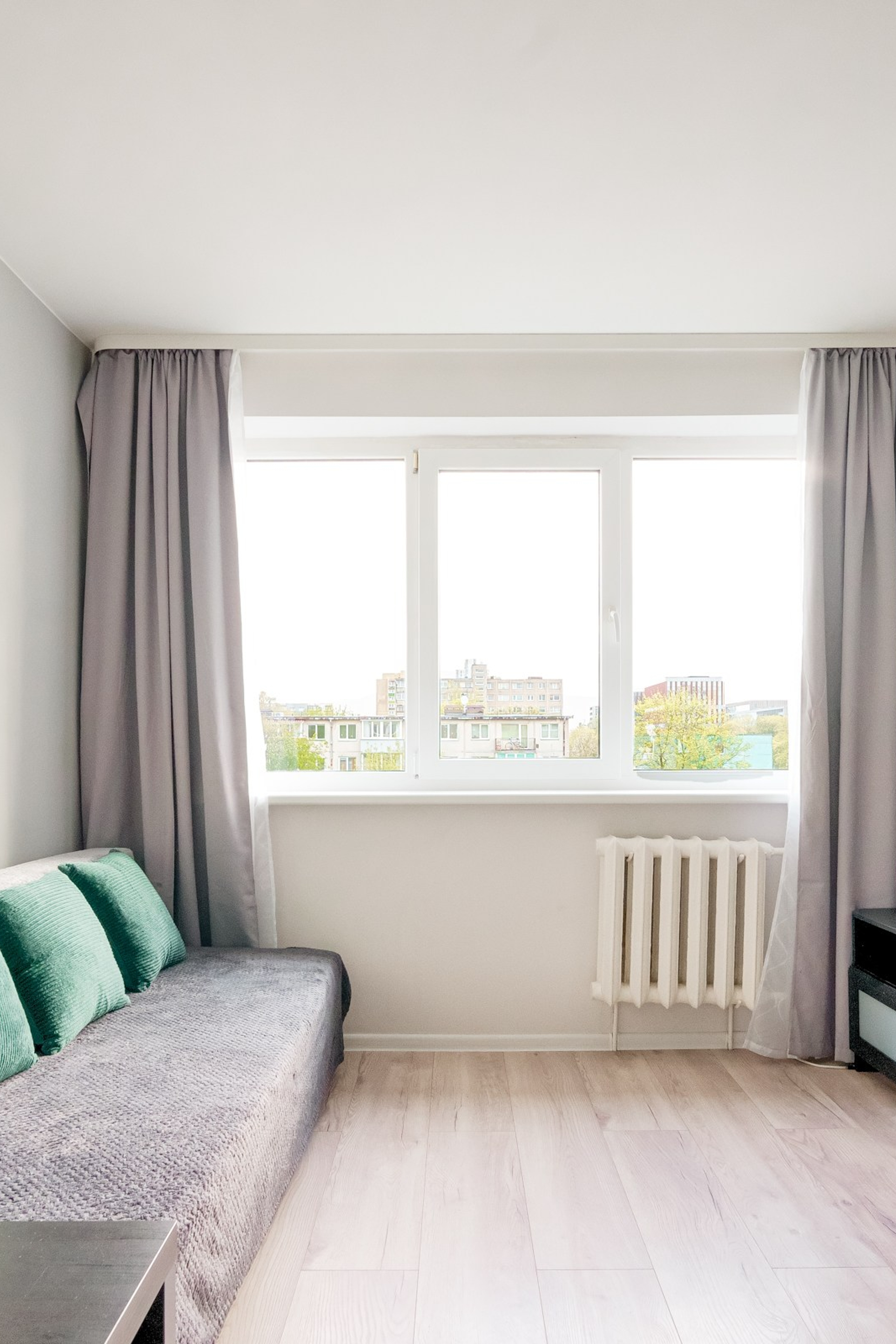 N.Lentvaris. Elina Sapiega fotografė Vilniuje