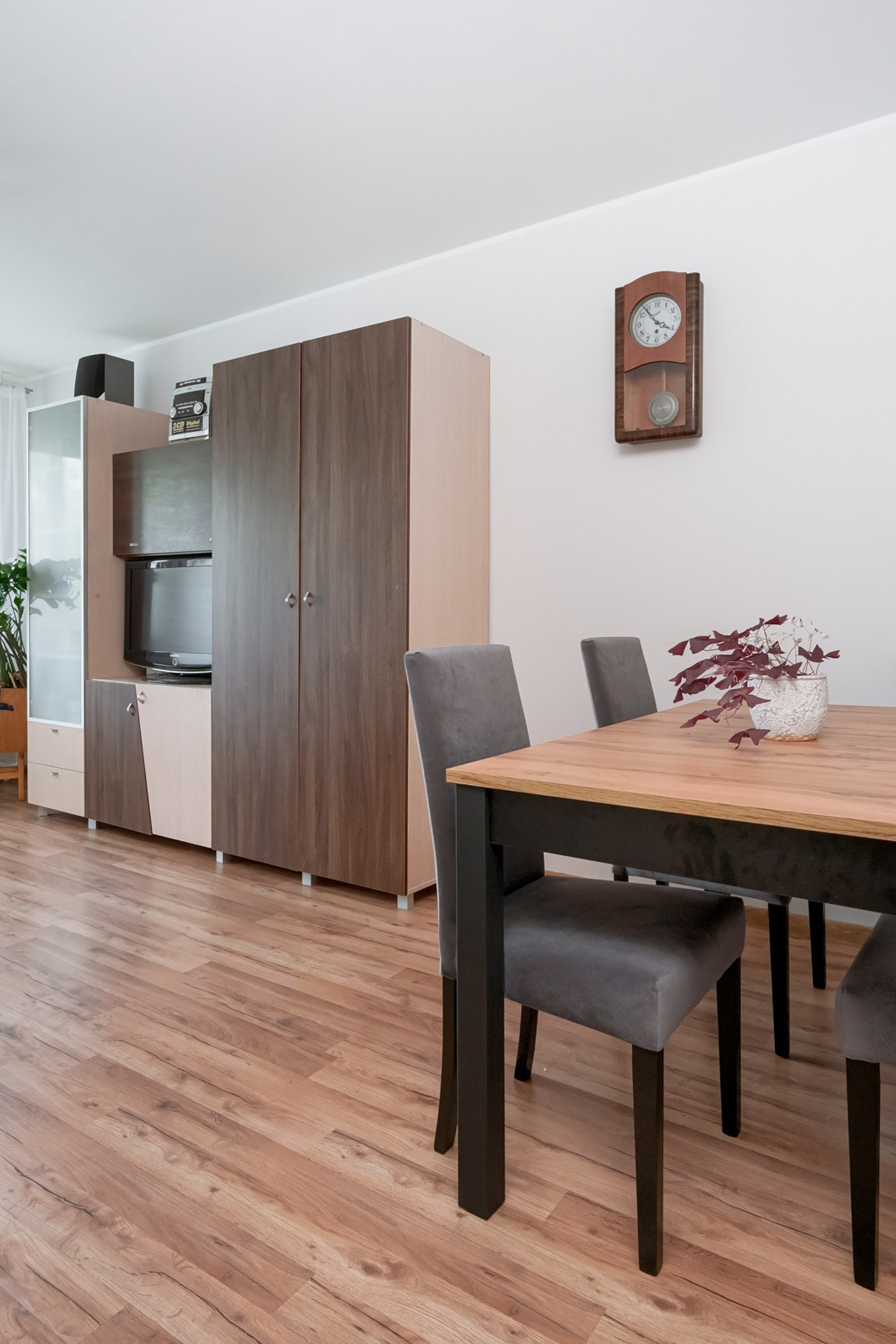 N.Lentvaris. Elina Sapiega fotografė Vilniuje