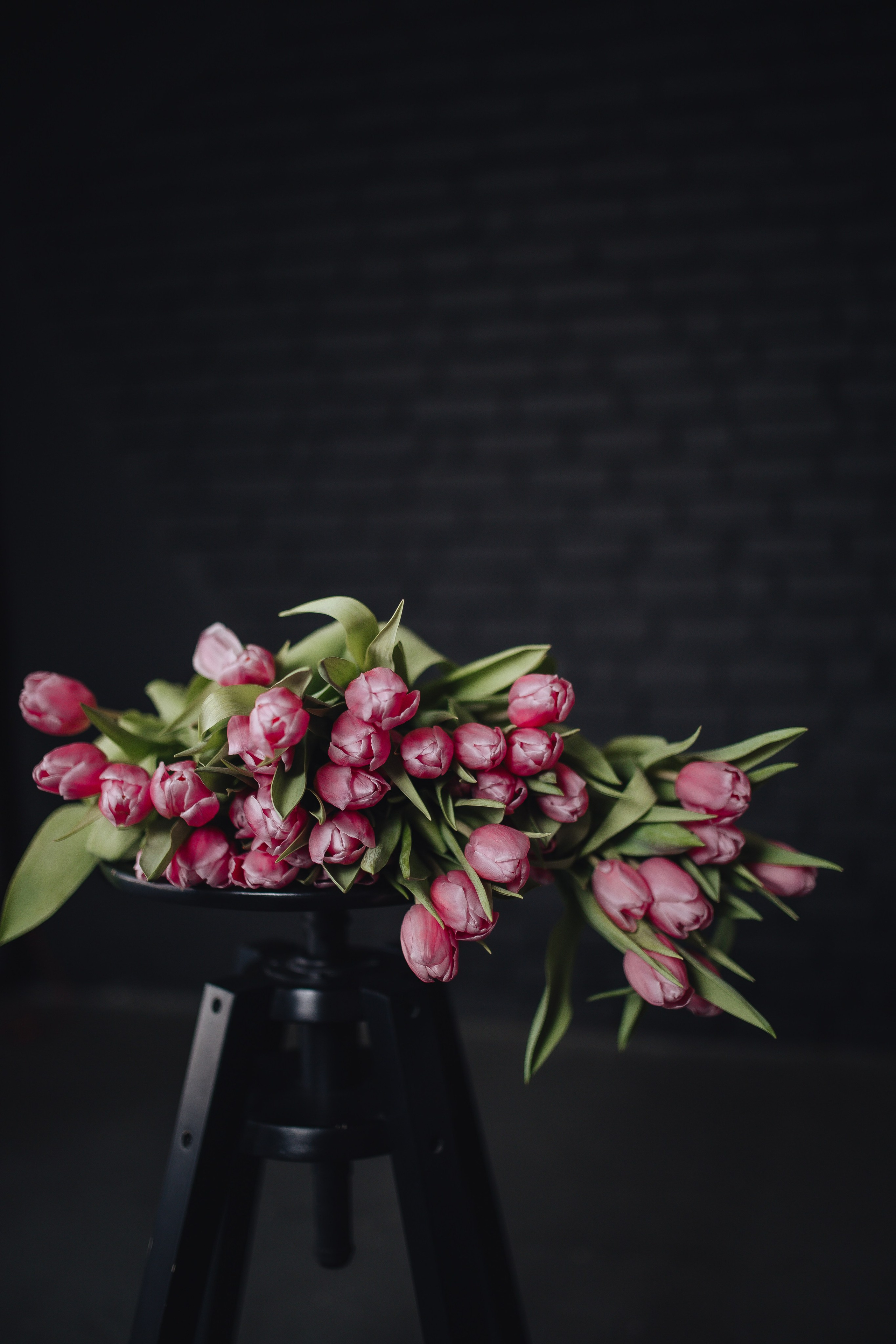 Отзывы. Документальный фотограф в Израиле Кристина Зингер