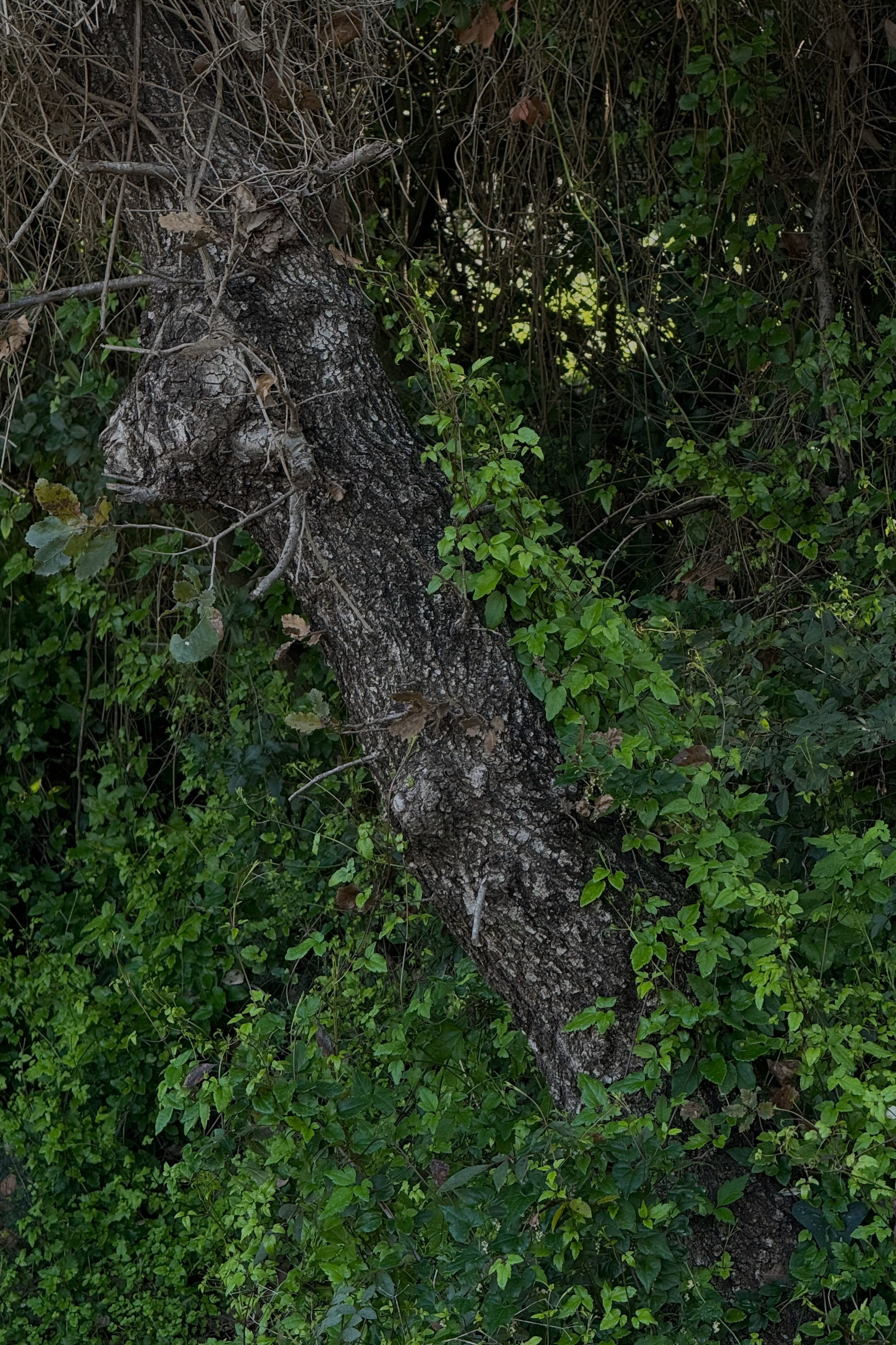 Отзывы. Документальный фотограф в Израиле Кристина Зингер