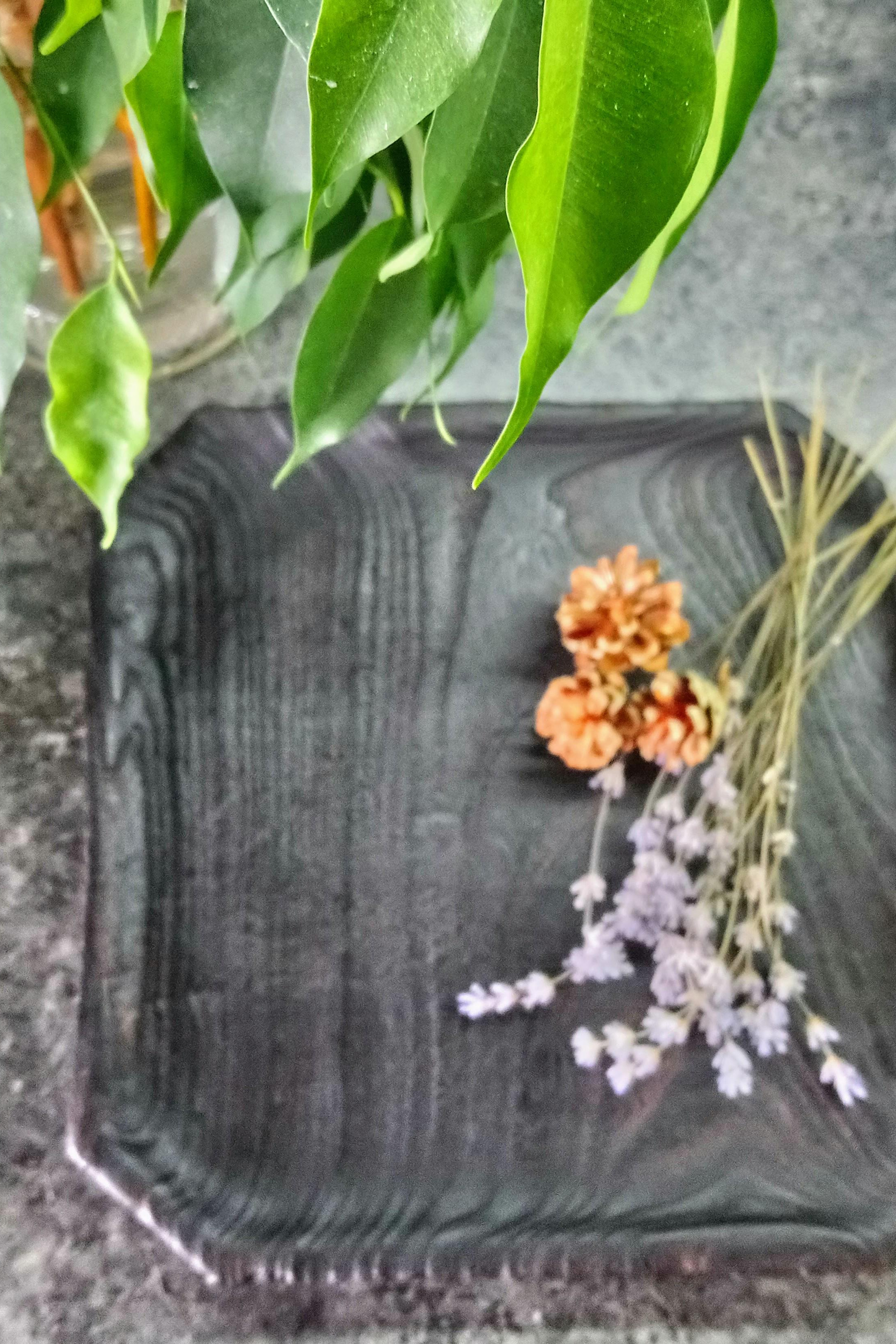 Деревянная квадратная тарелка. Архитектор, дизайнер интерьера, декоратор