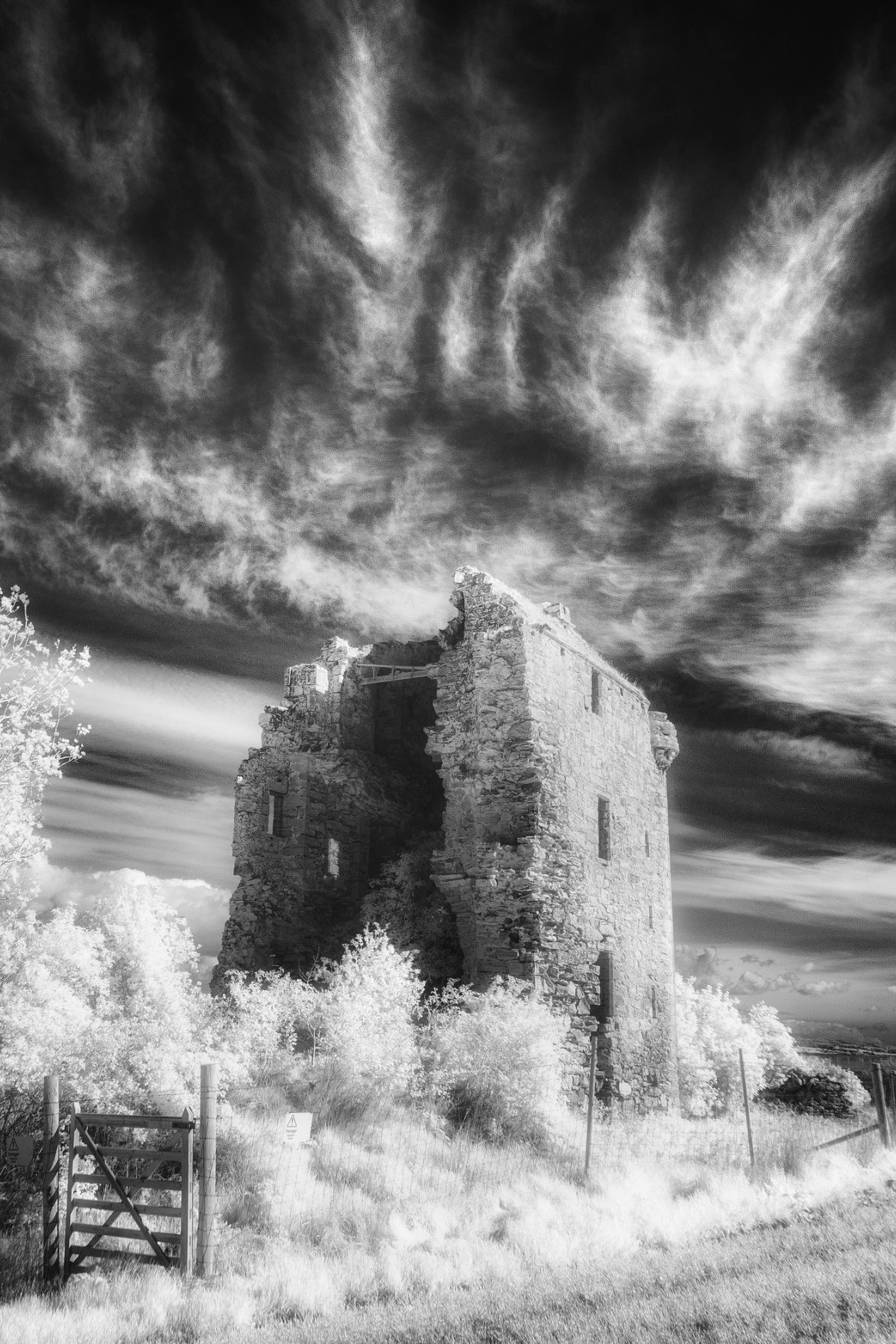 Welcome. Infrared Scotland