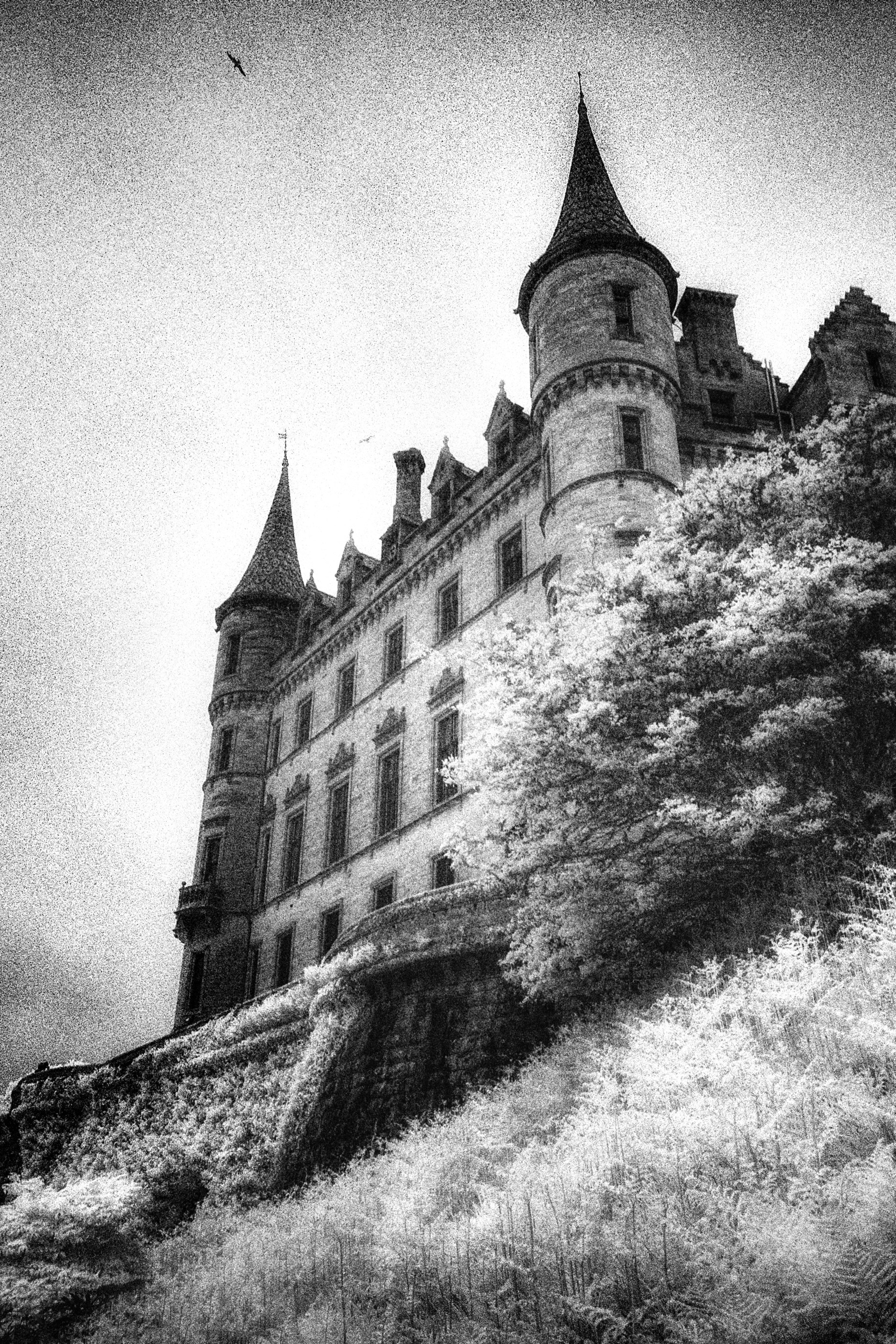 Blog. Infrared Scotland