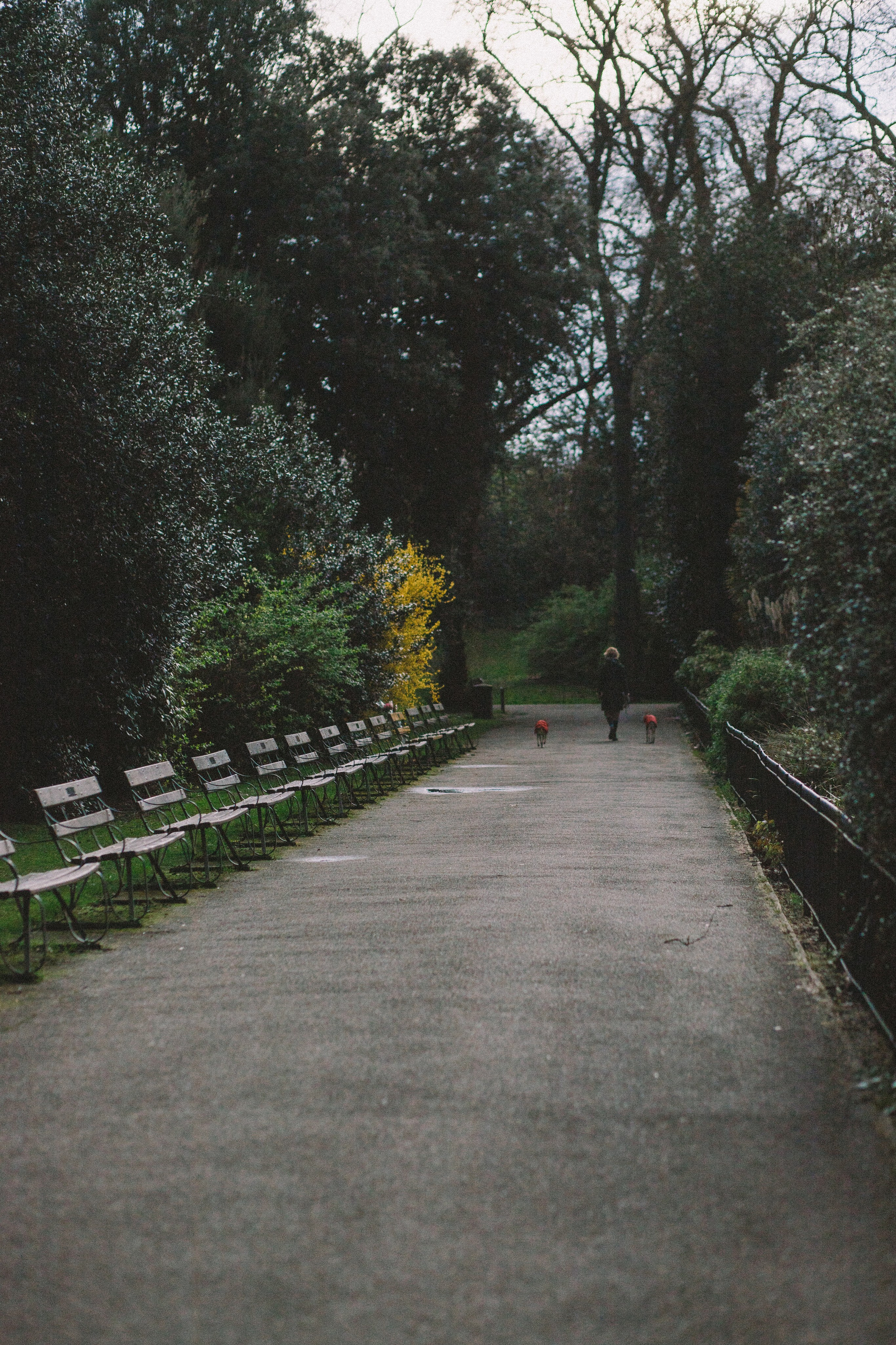 Lena Geary Photography