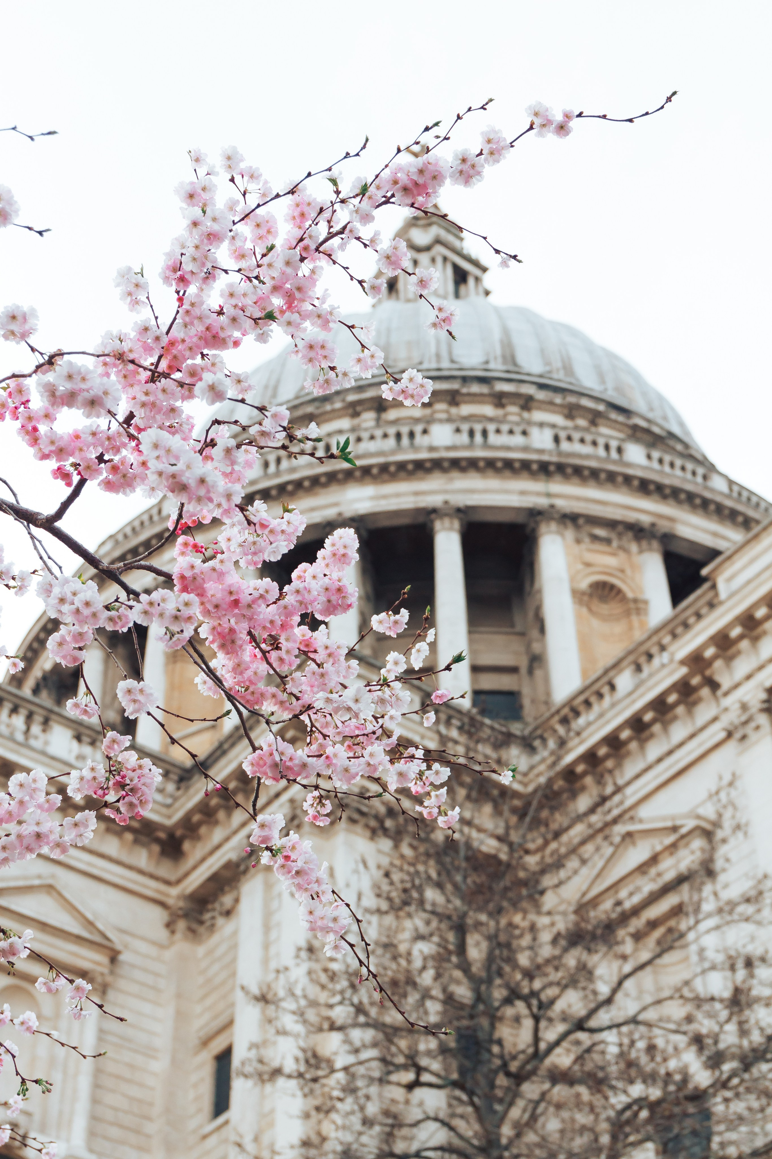 Lena Geary Photography