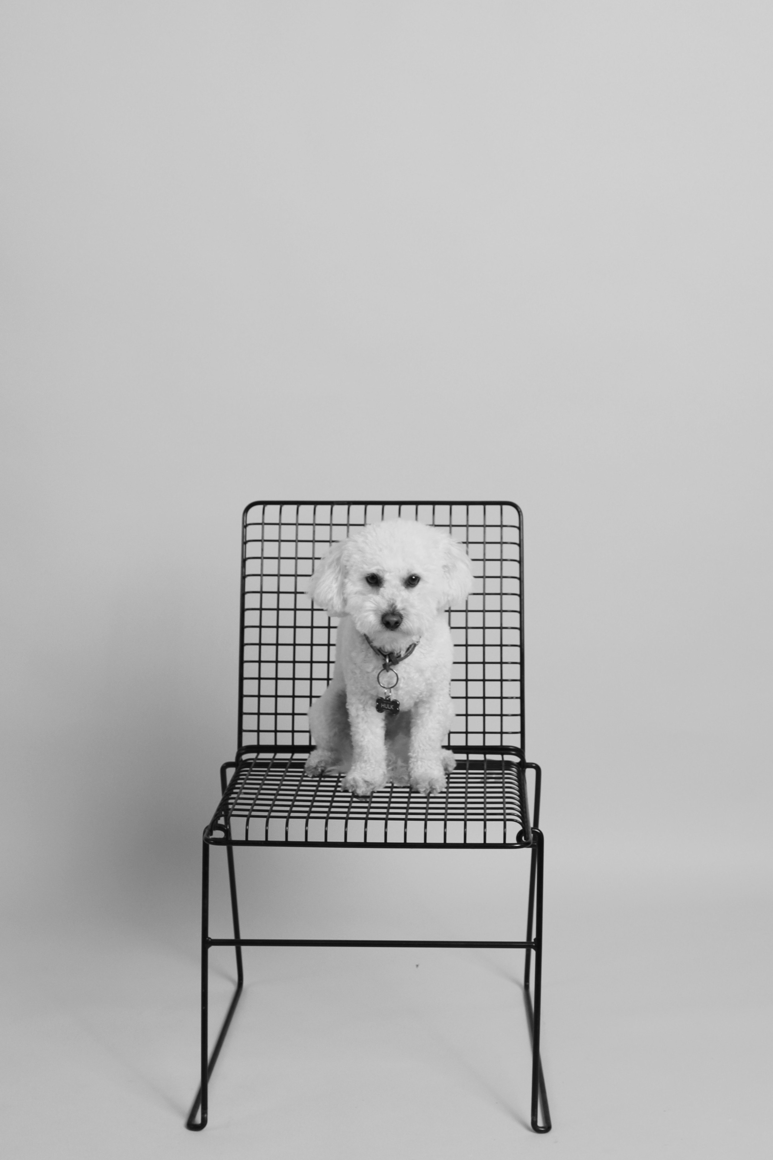 GALLERY IN SHOOT IT YOURSELF. SHOOT IT YOURSELF — SELF PORTRAIT STUDIO IN CHICAGO