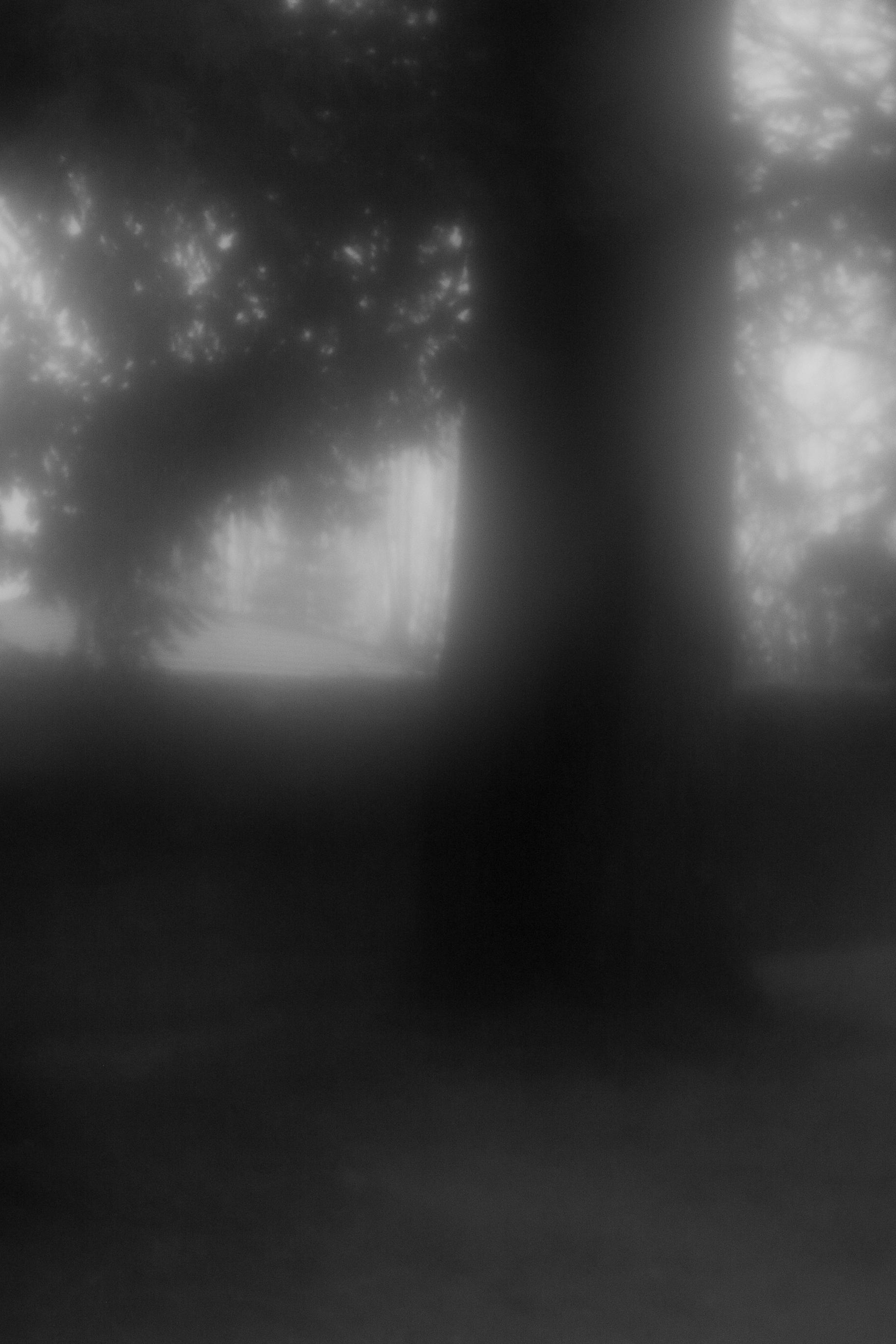 Monumentale. Anastasia Shapoval violoniste et photographe. Annecy — Geneve