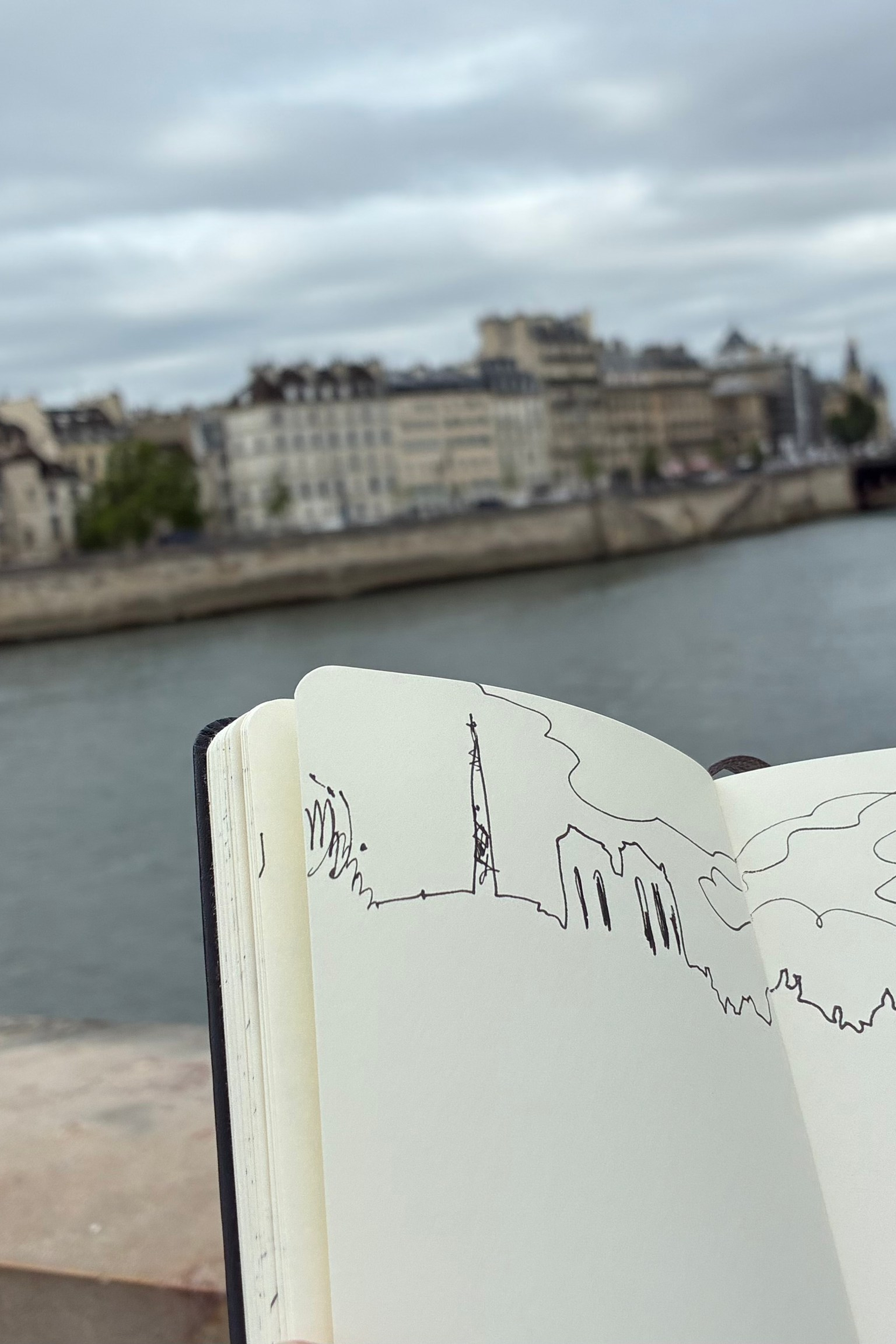 Drawing in Paris 2. Nadia Kuprina. Artist