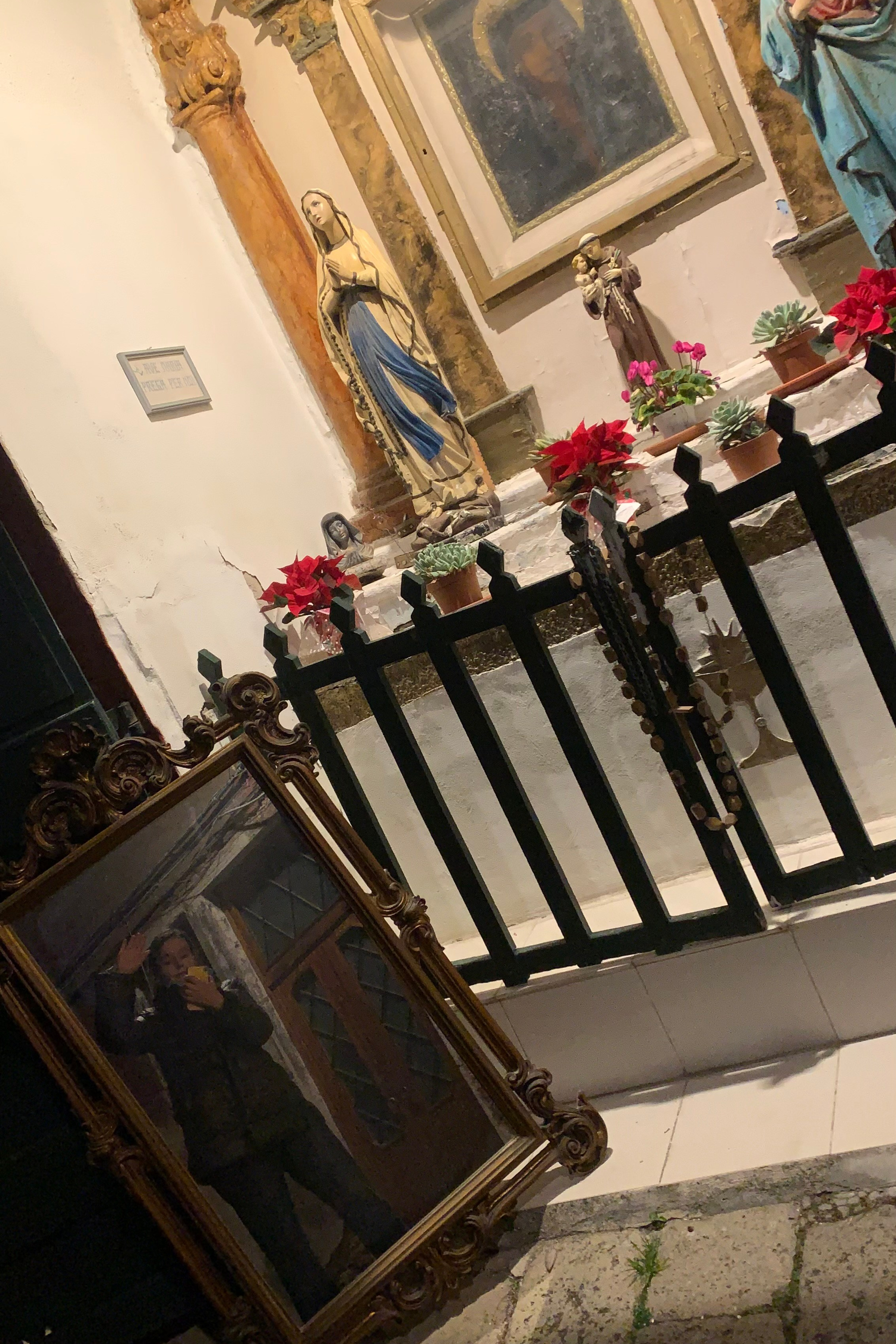 Bridge or window?. Nadia Kuprina. Artist