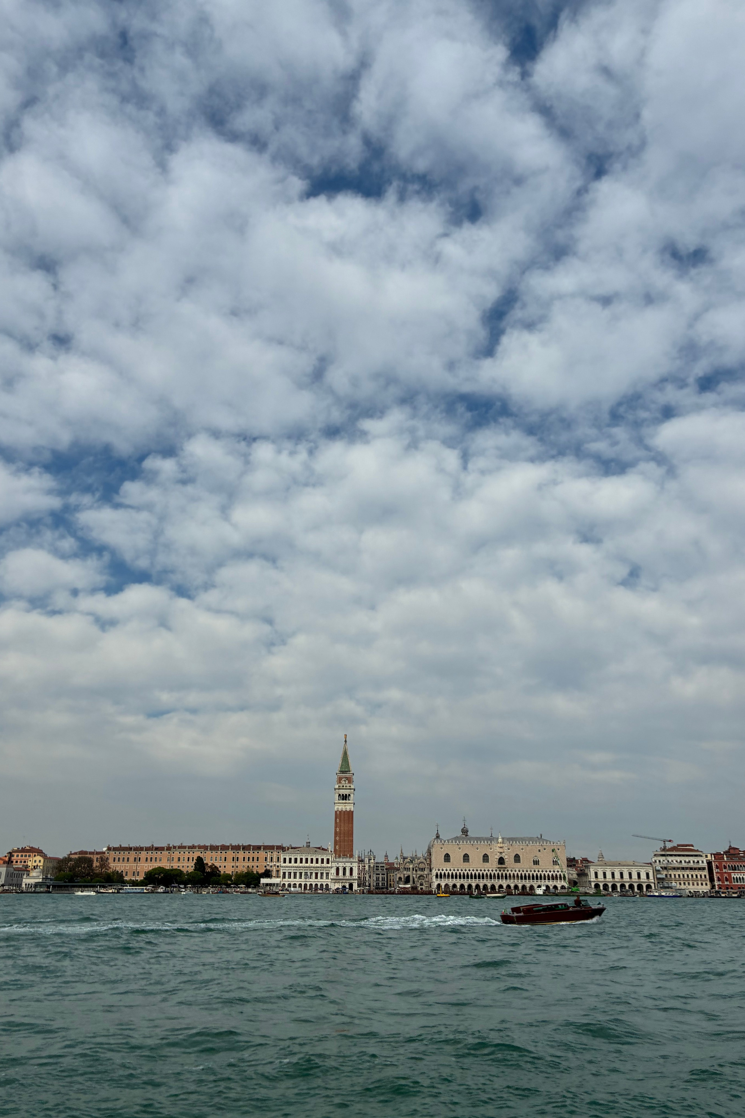Golden flowers, golden sky. Nadia Kuprina — Artist & Opera Singer in Venice