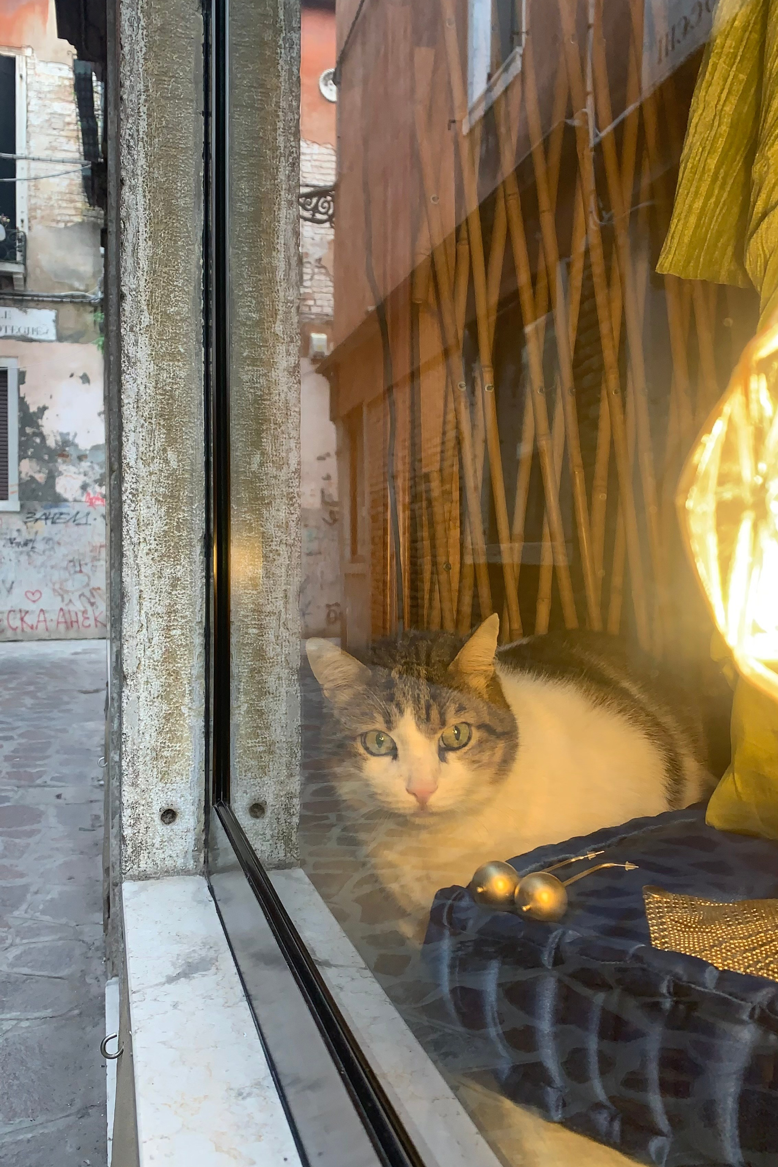 Gran Canal view. Nadia Kuprina. Artist