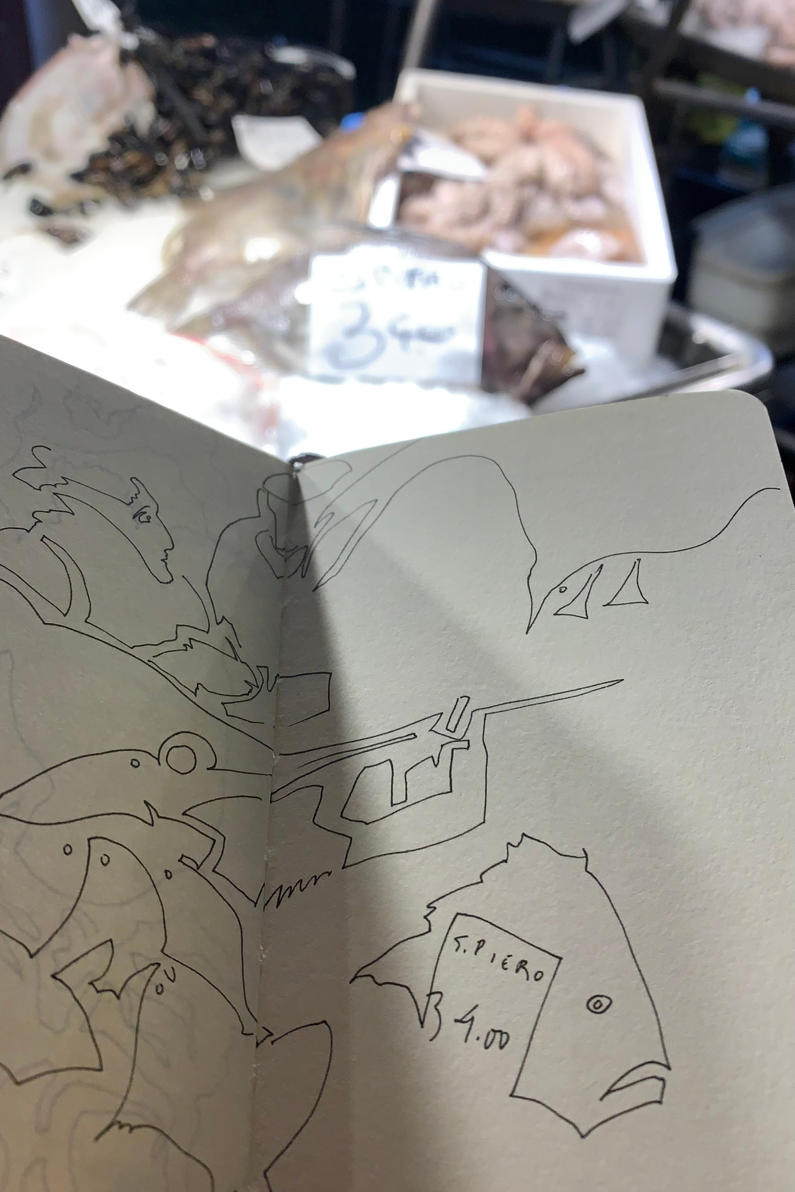 Bridge or window?. Nadia Kuprina. Artist