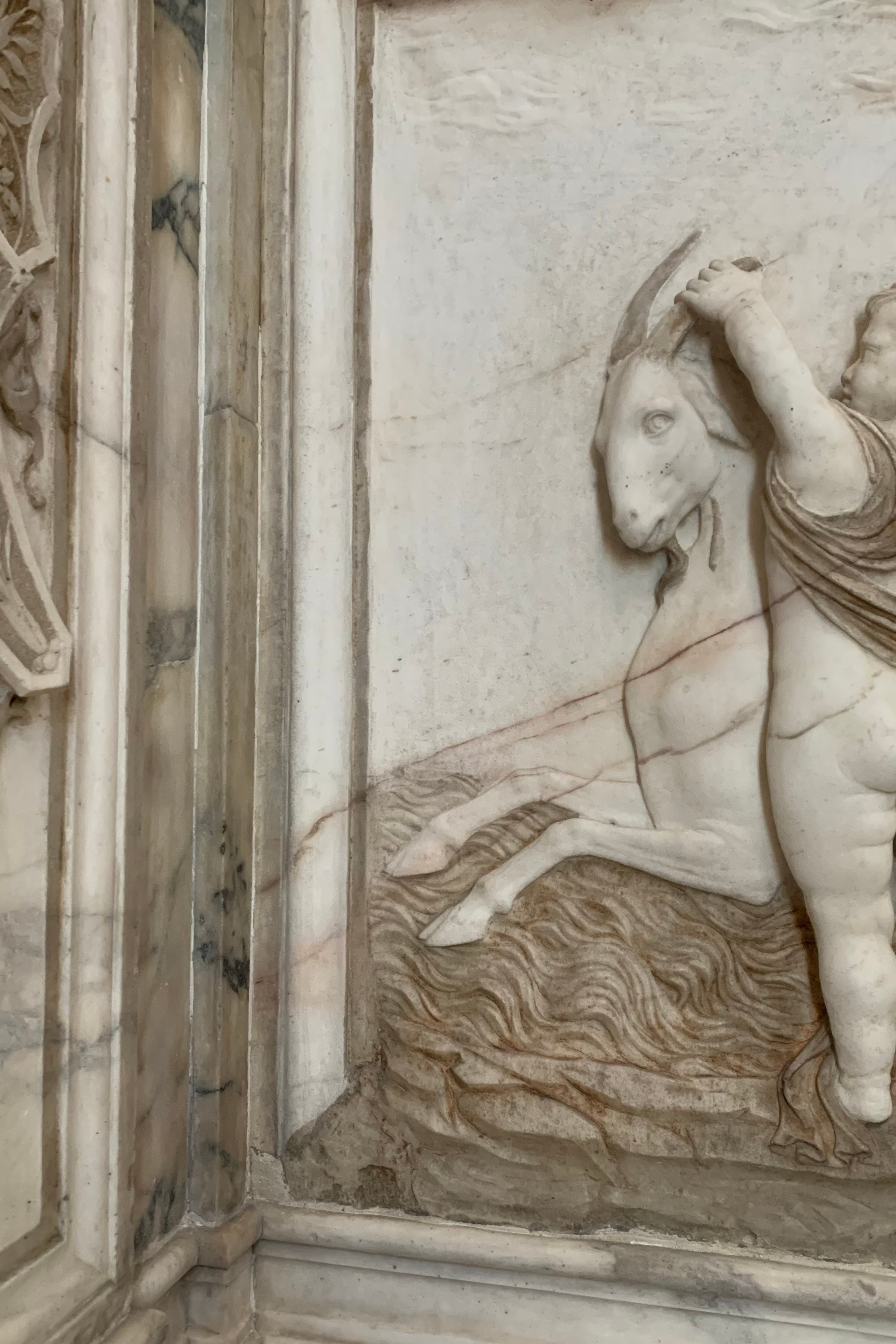 A sea horse…. Nadia Kuprina. Artist