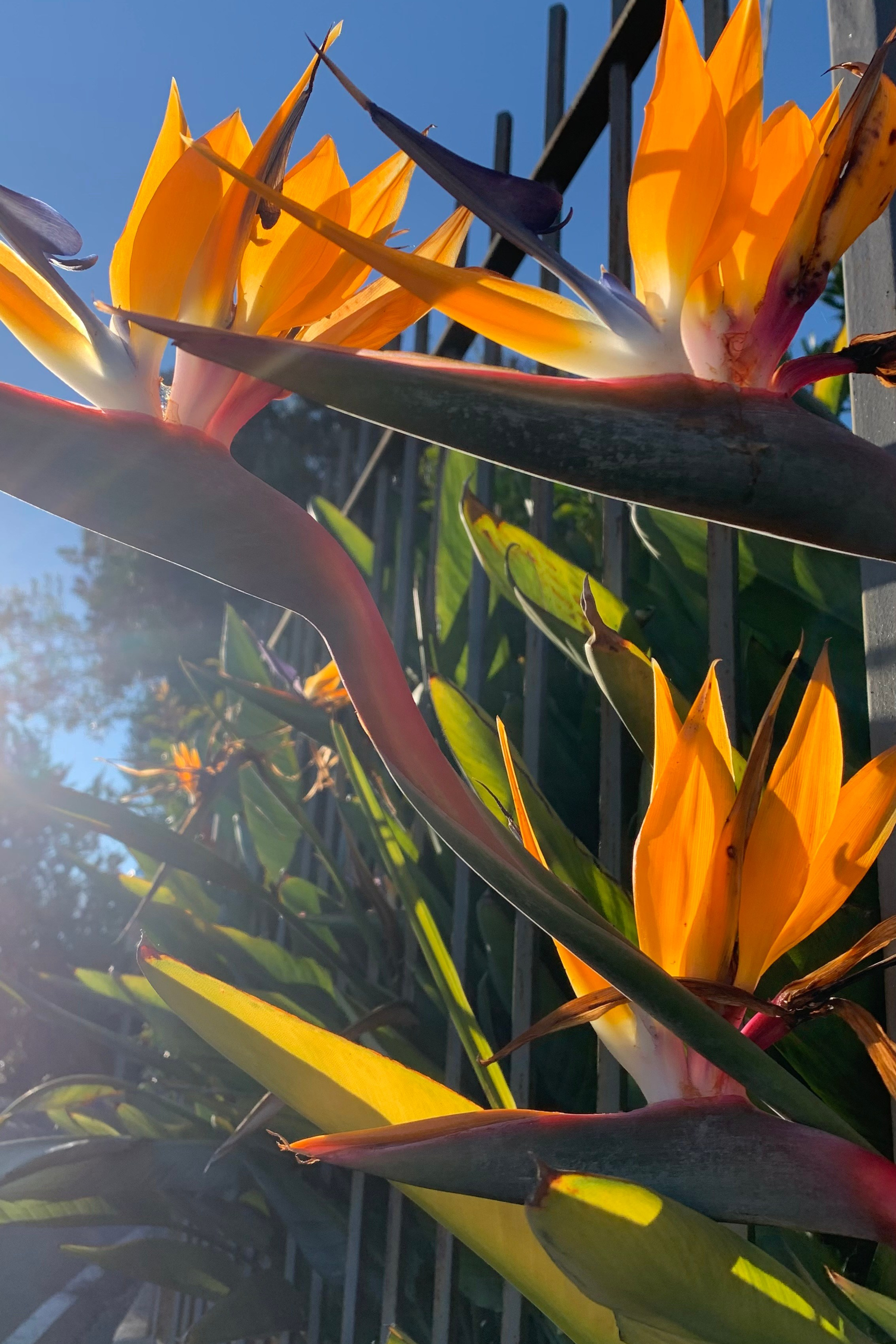 With my beautiful friend, the designer Anna Fanigina. Nadia Kuprina. Artist