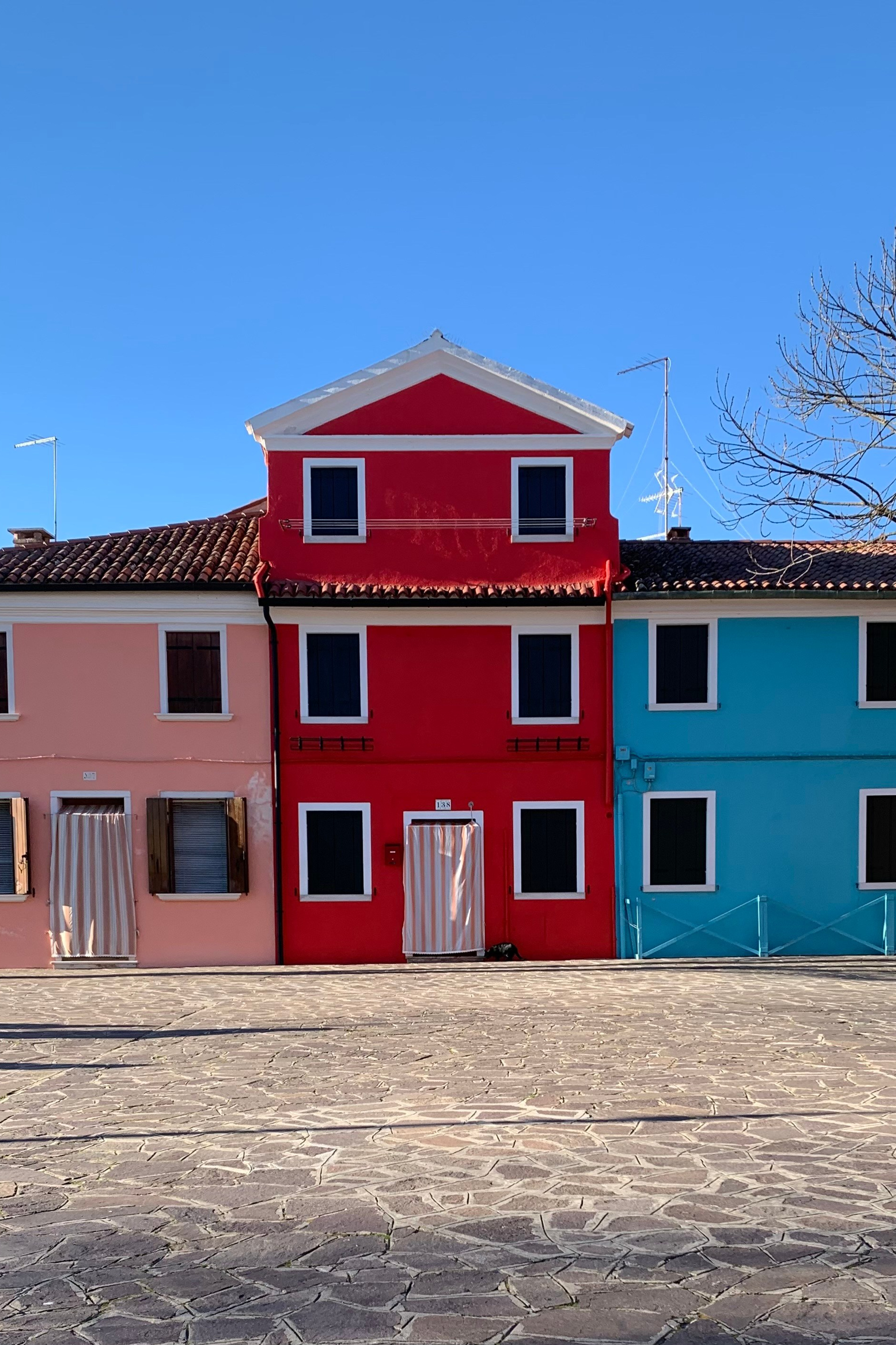 Drawing Modigliani in Padua. Nadia Kuprina. Artist