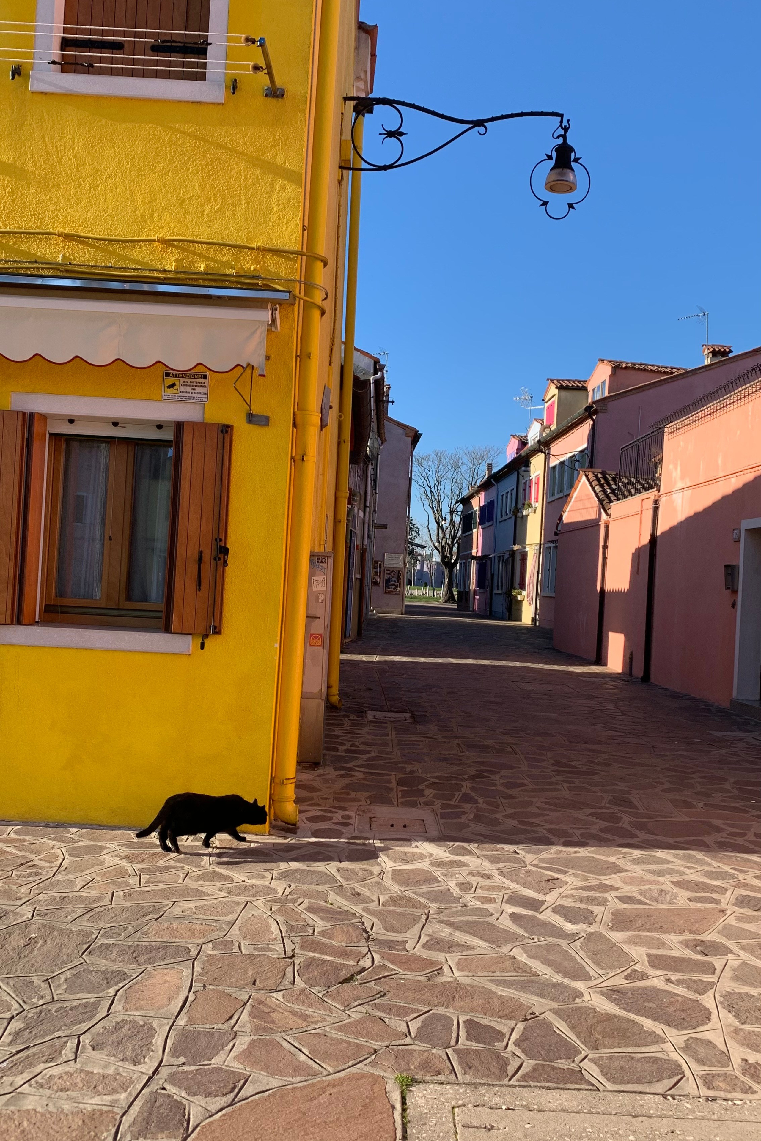 Drawing Modigliani in Padua. Nadia Kuprina. Artist