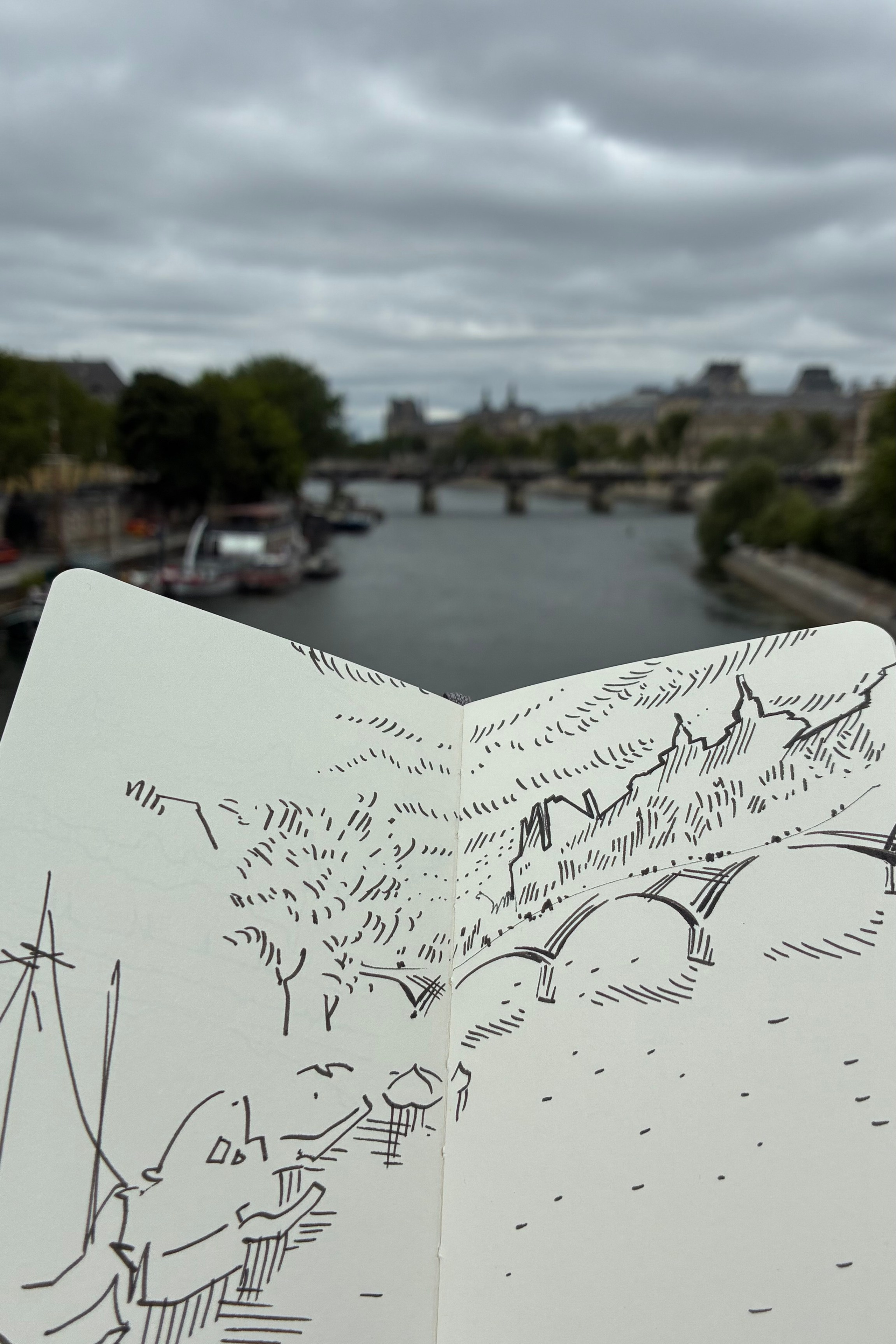 Drawing in Paris 3. Nadia Kuprina. Artist