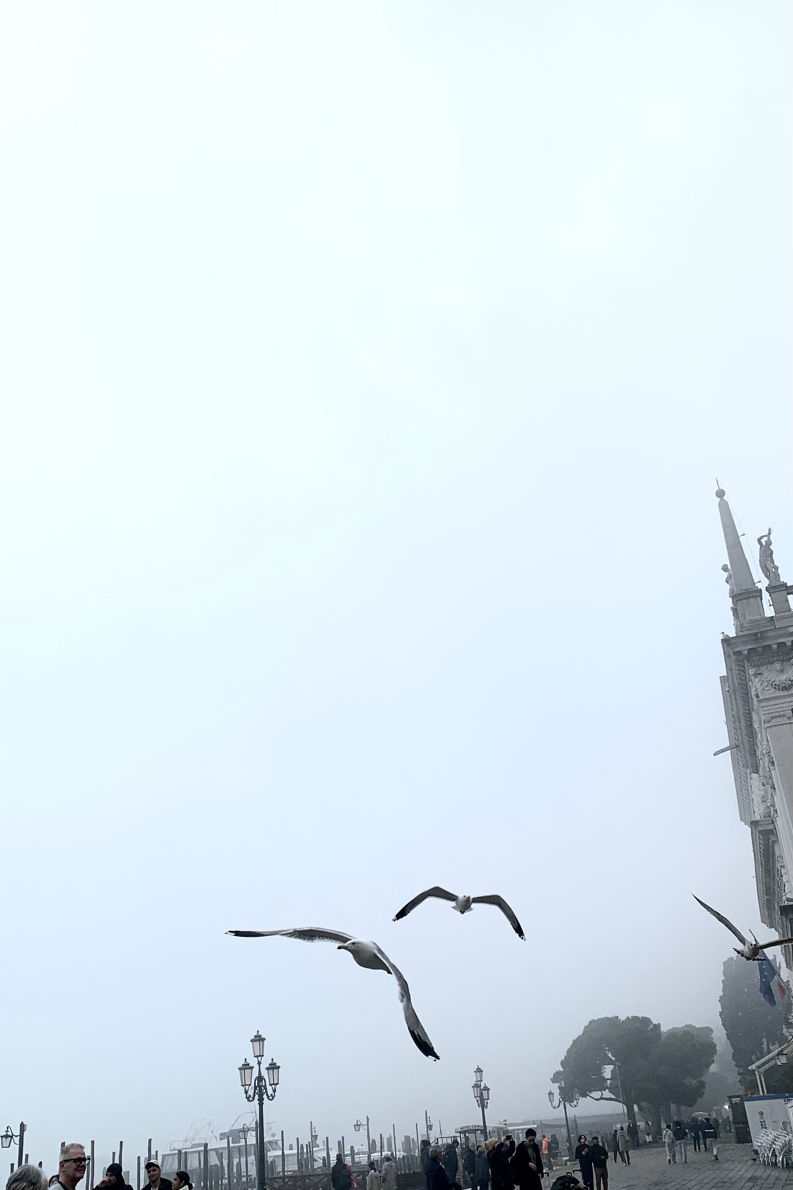 Bridge or window?. Nadia Kuprina. Artist