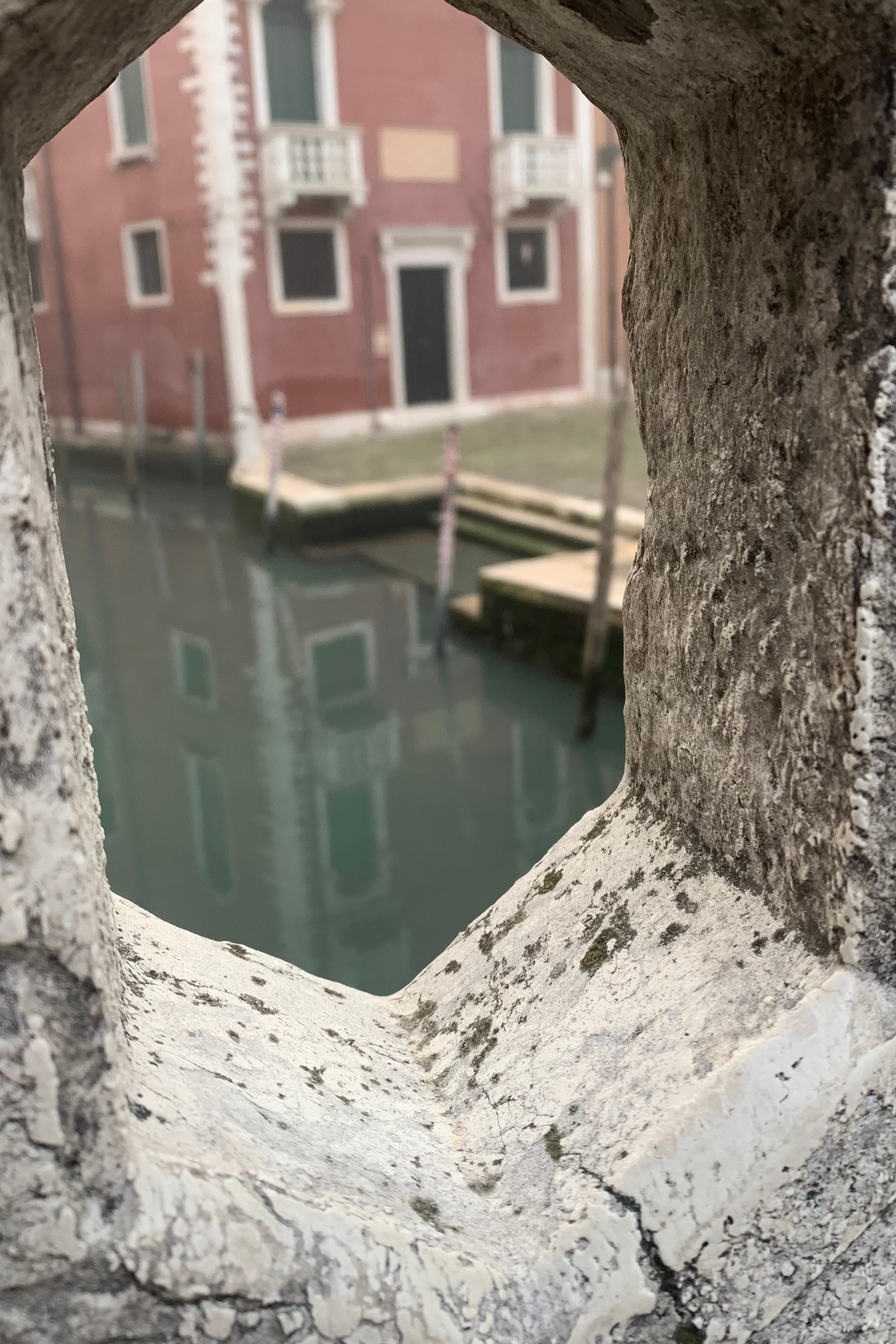 Gran Canal view. Nadia Kuprina. Artist