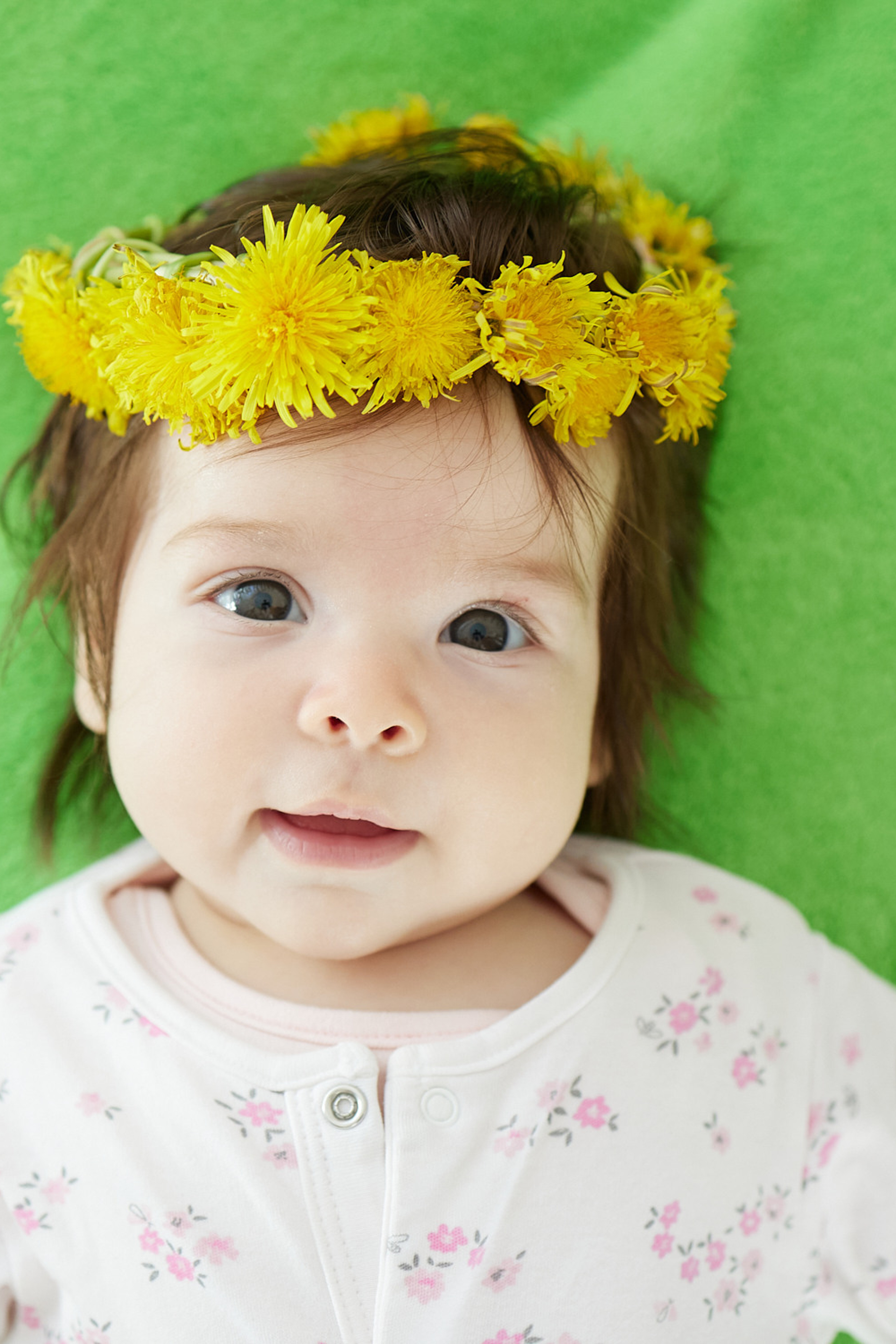Stories. Product and food photographer in Brasov, Romania