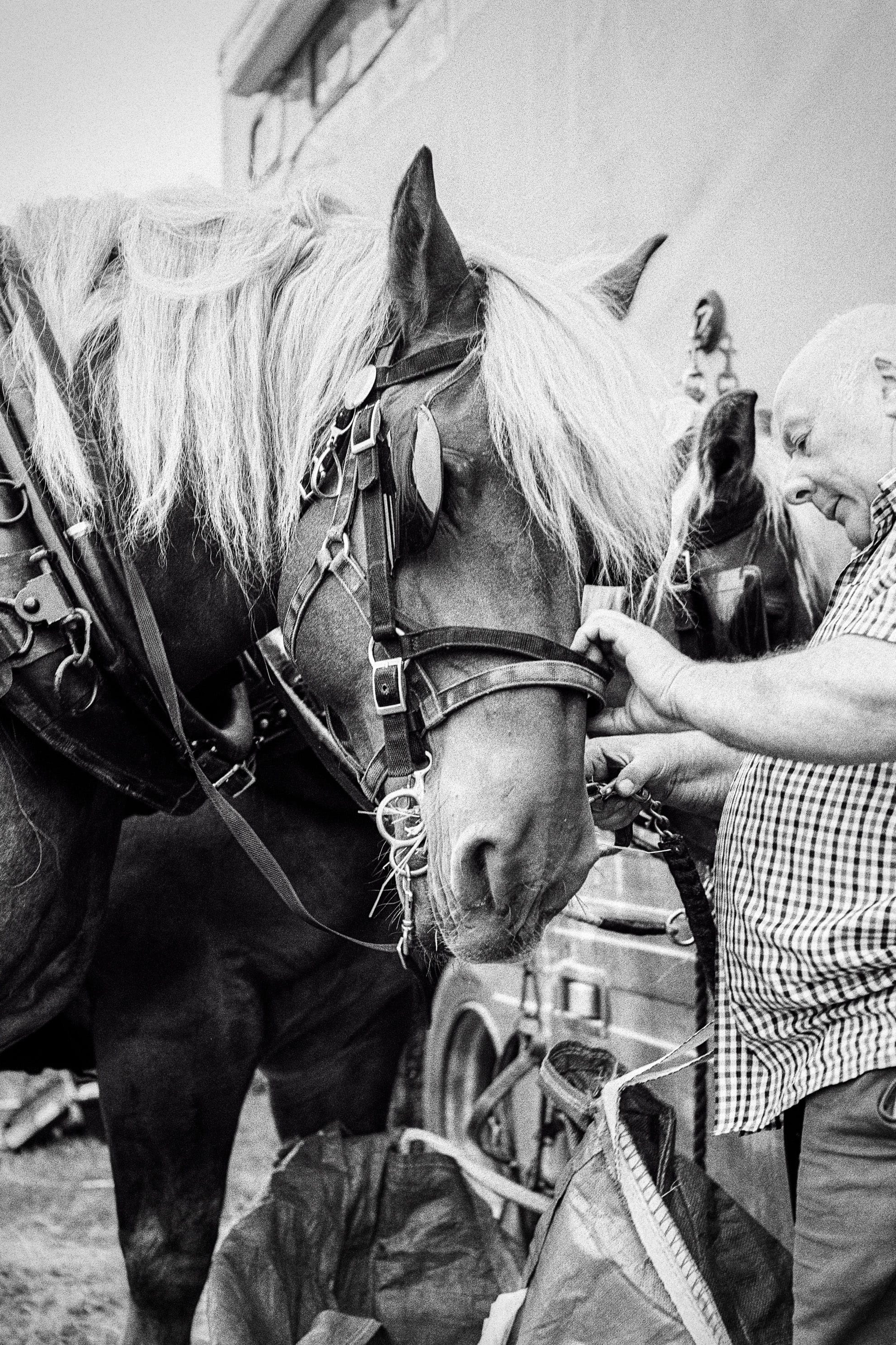 35mm vs Medium Format Film Photography: Olympus OM-2N and 120 Film. Hedley Wright Photography | East Anglia Sport, Street, Wildlife, Landscape & Astrophotography