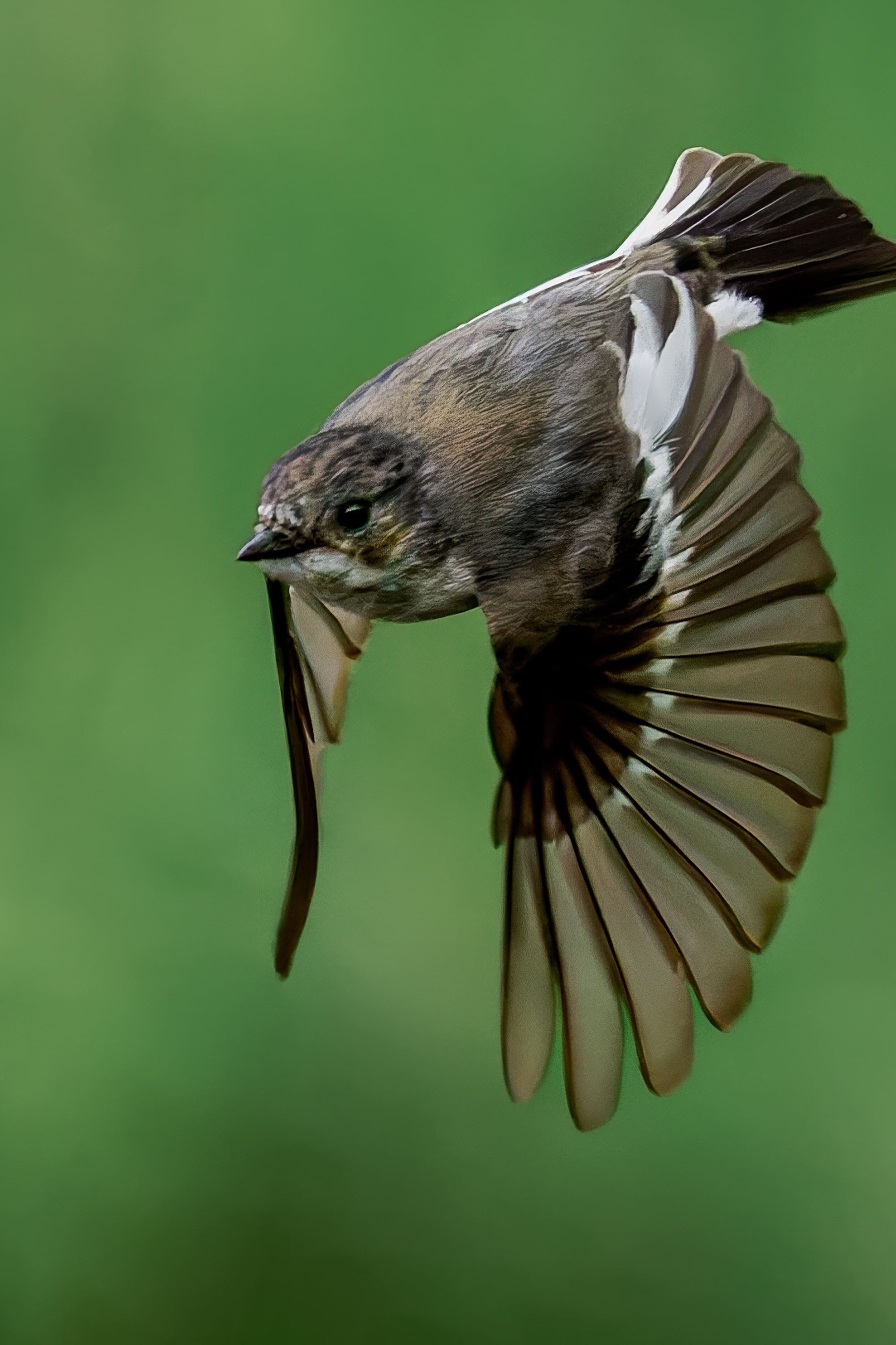 Blog — UK amateur digital and film photography. Hedley Wright Photography | East Anglia Sport, Street, Wildlife, Landscape & Astrophotography