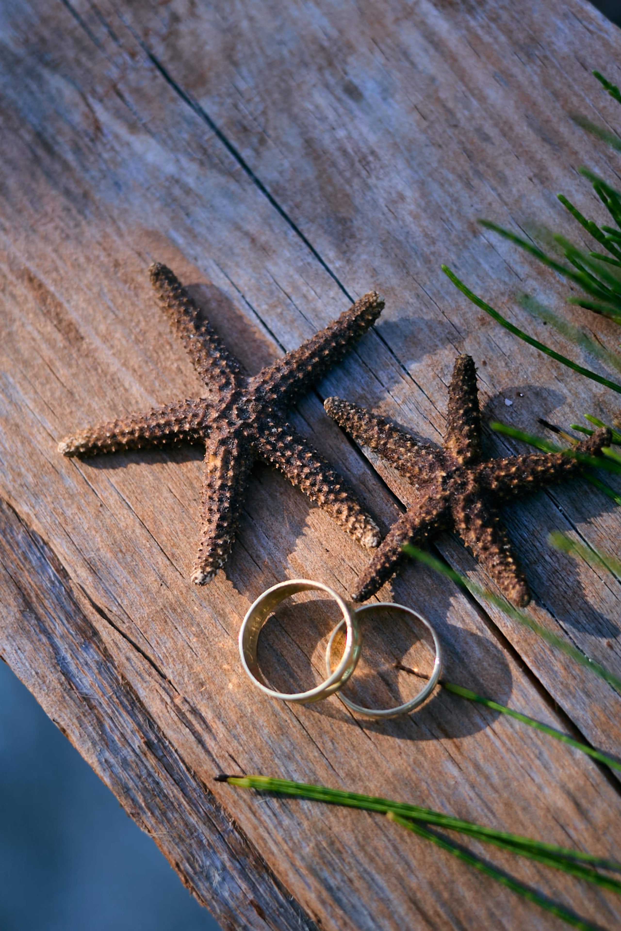 Las historias. Christian Ku fotógrafo en Mérida, Yucatán
