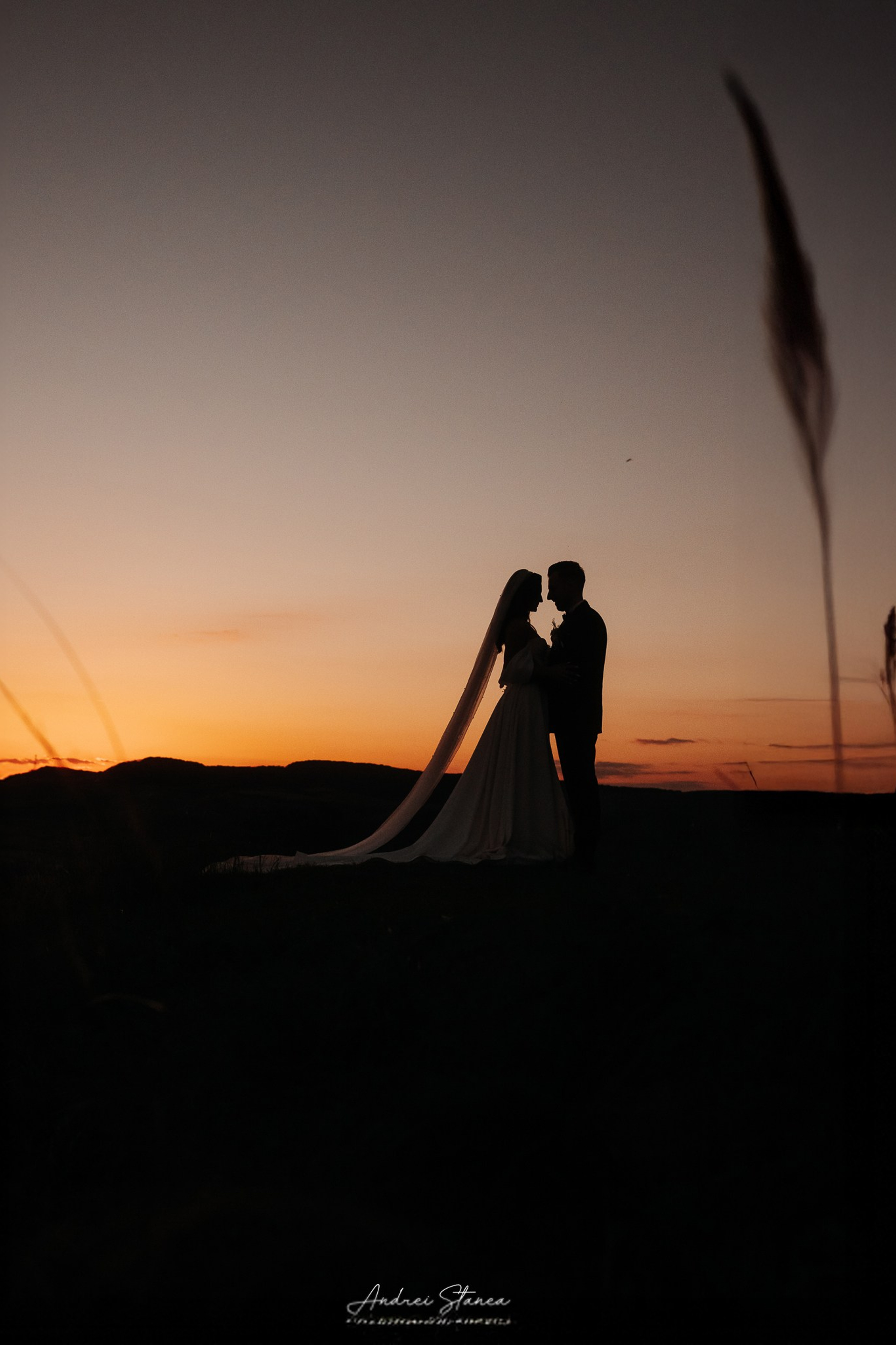 Stories. Andrei Stanea