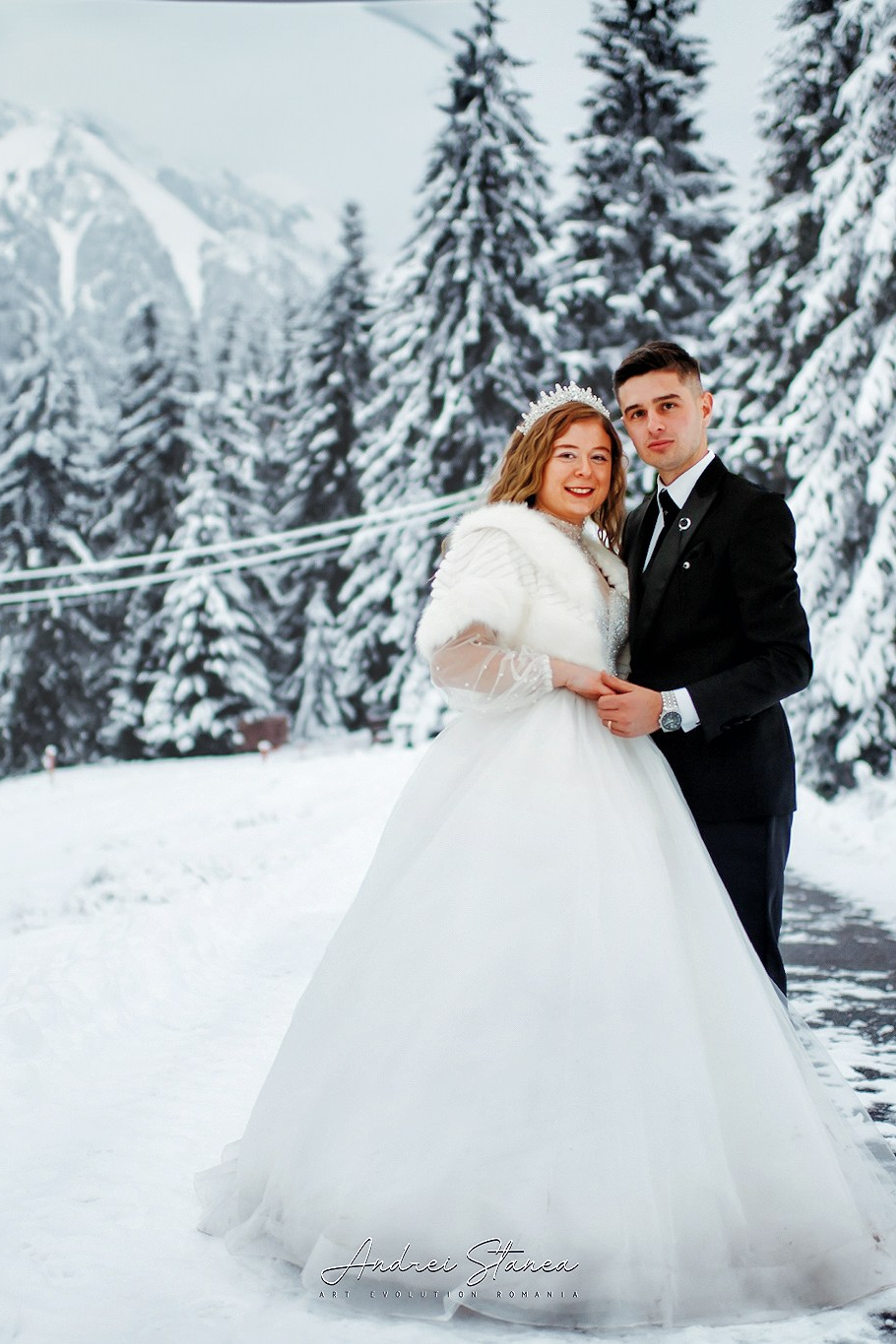 Stories. Andrei Stanea