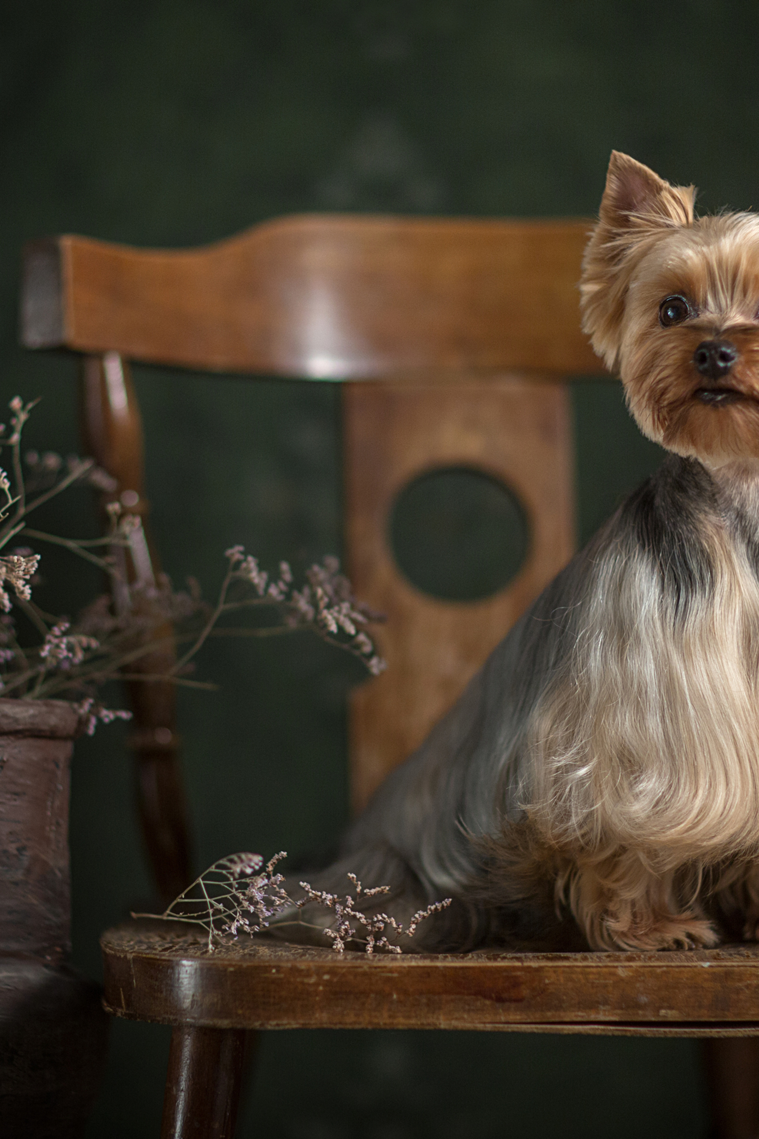 Anna Zinova (3 фото)