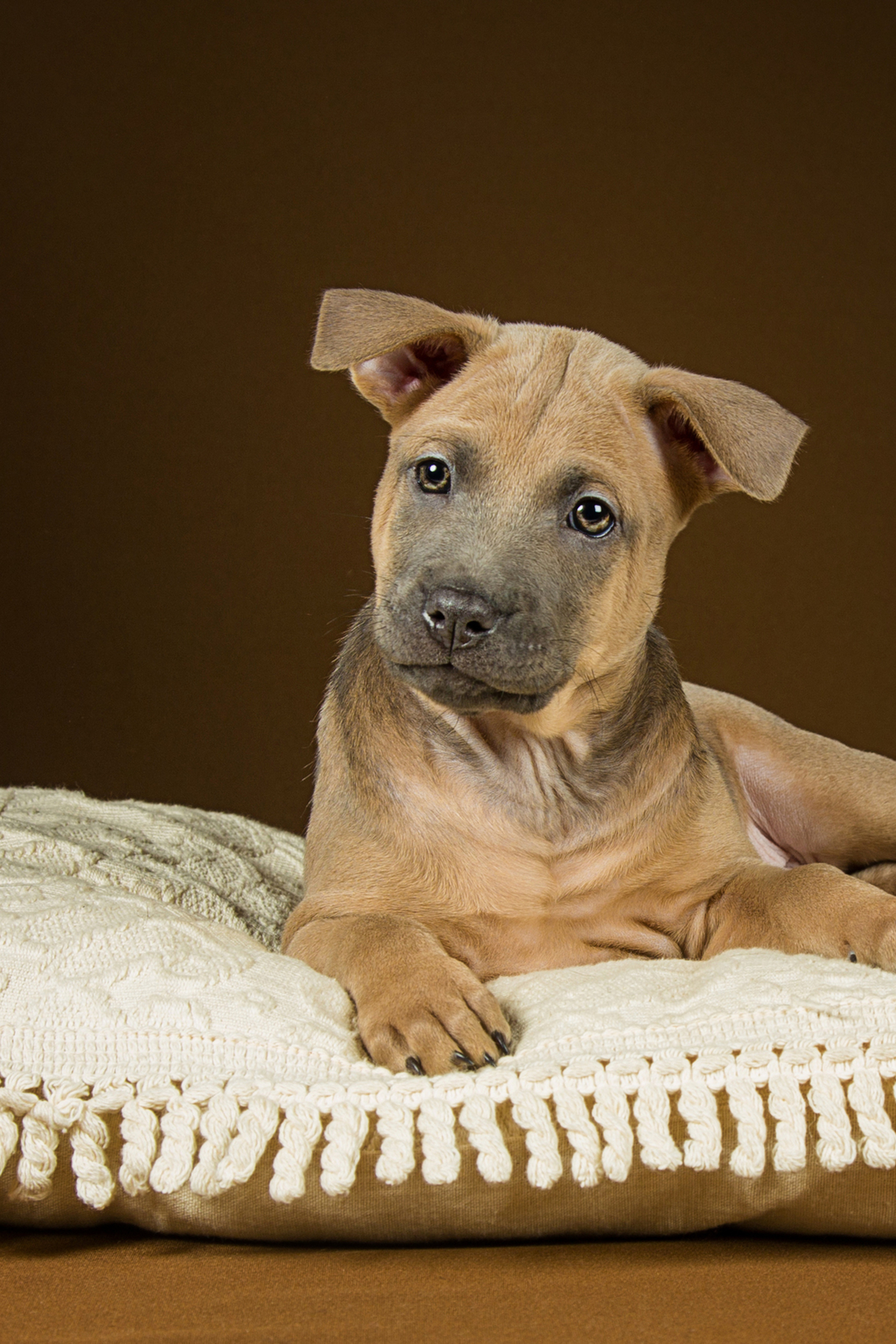 Alla Bush (7 фото)