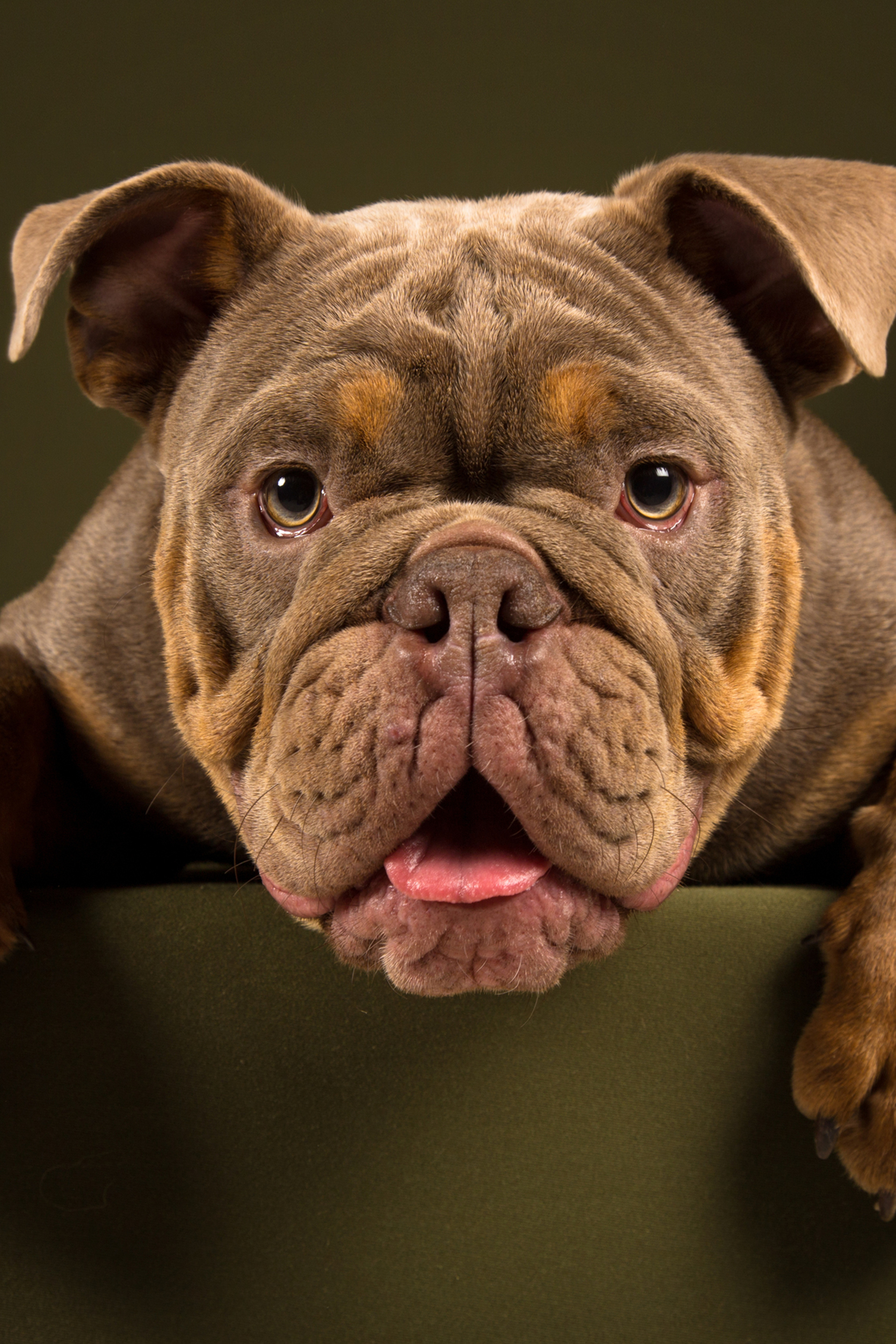 Chopper (4 фото)