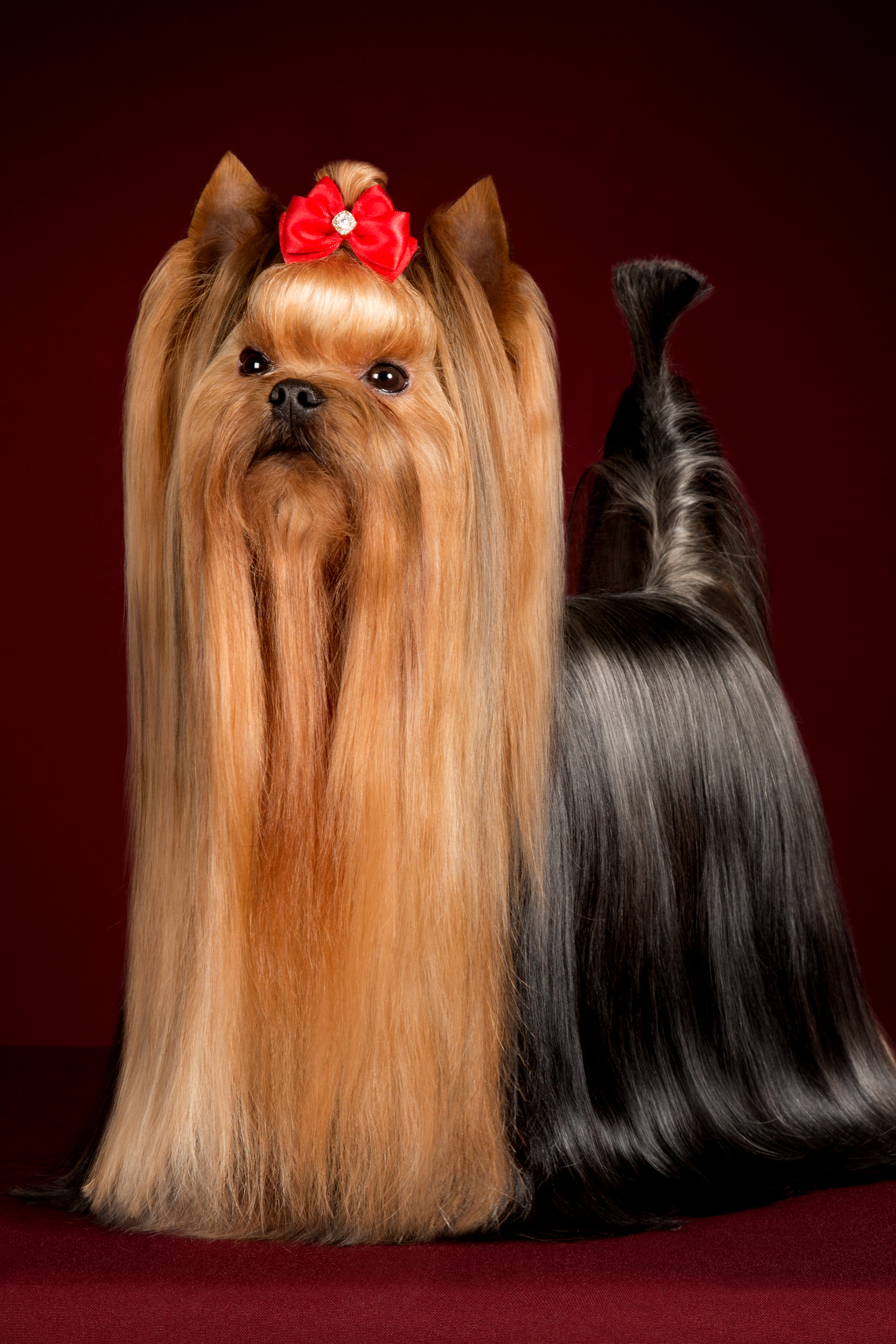 Natasha Aituganova (6 фото)