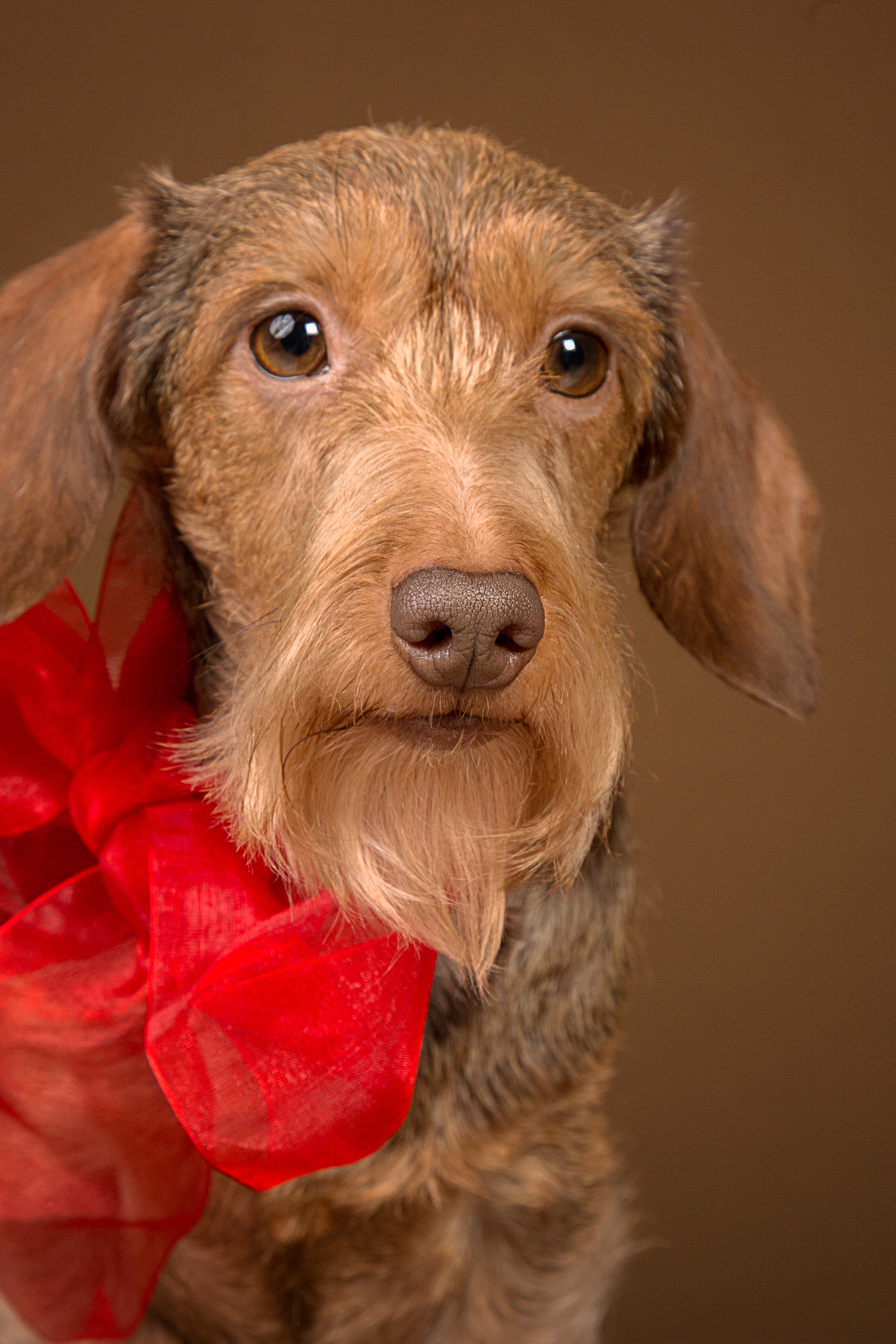 Inga taksi (6 фото)