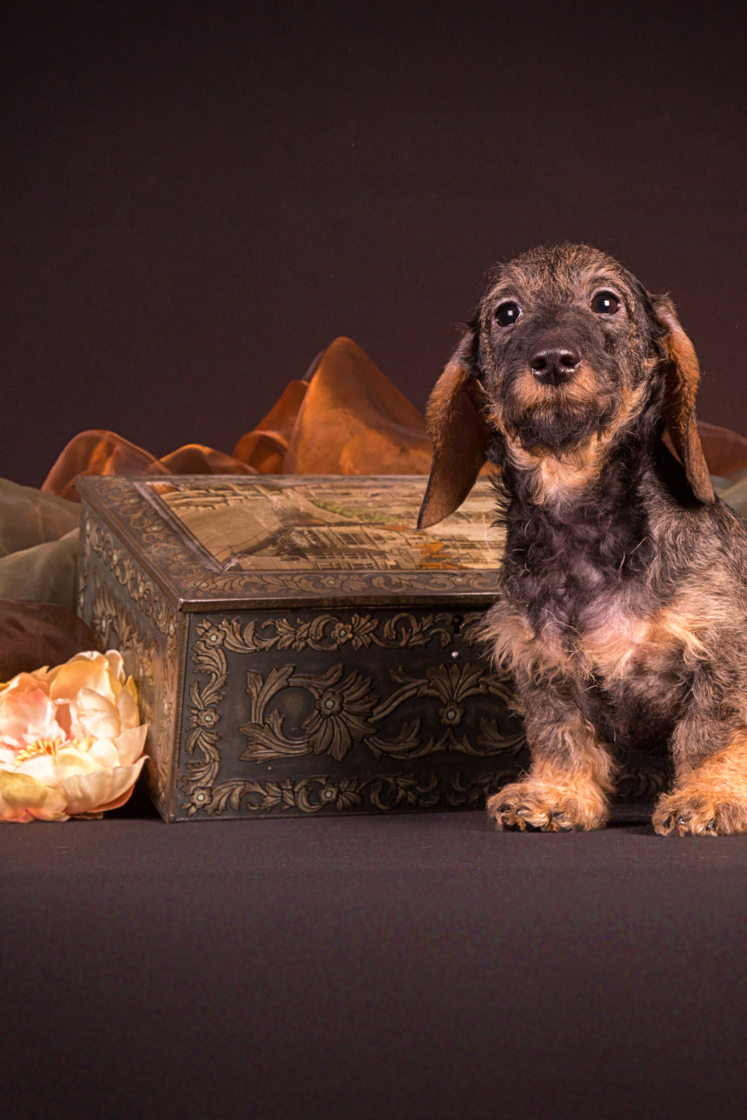 Inga Eik-Olsson (8 фото)