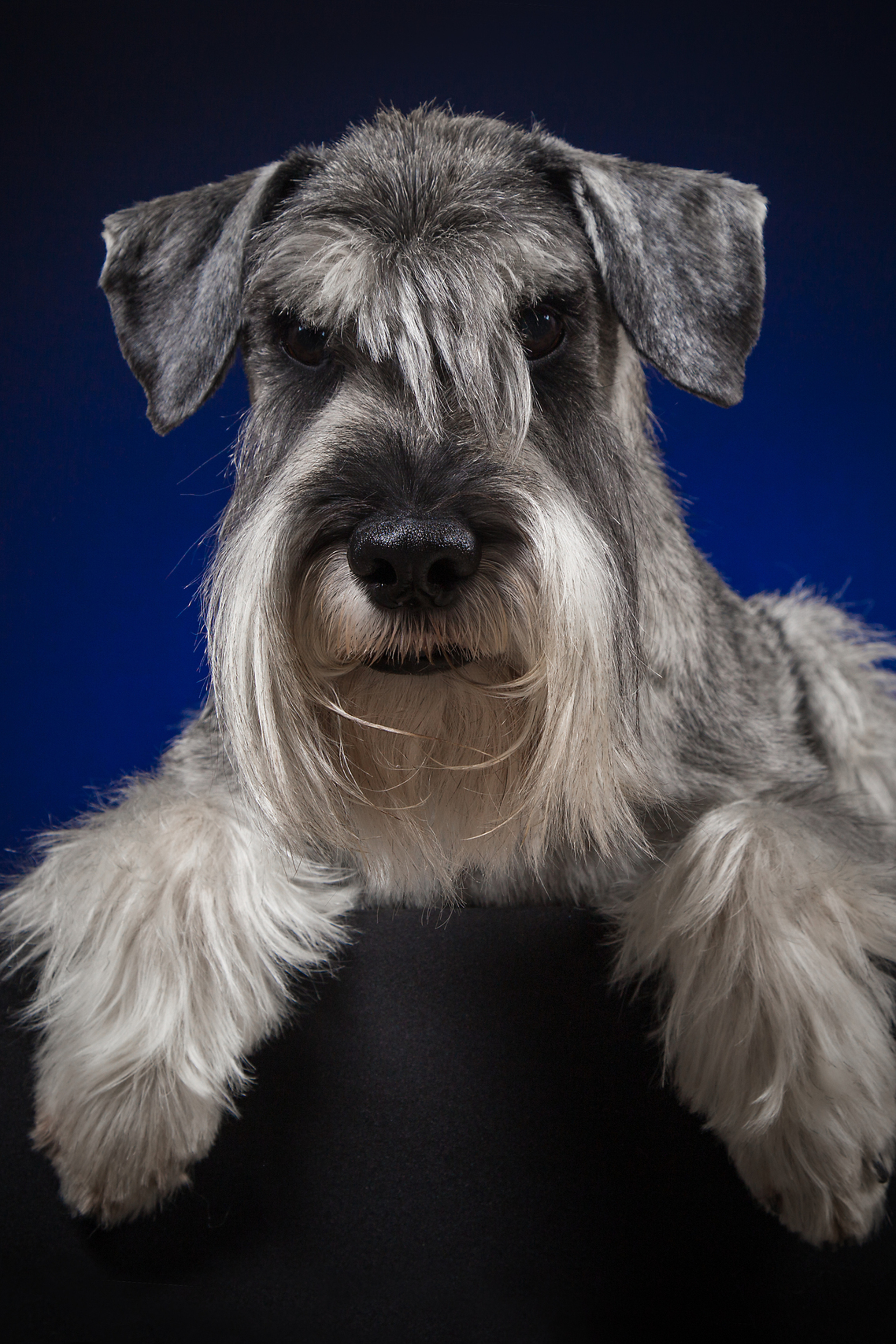 Sveta Pustovalova (6 фото)