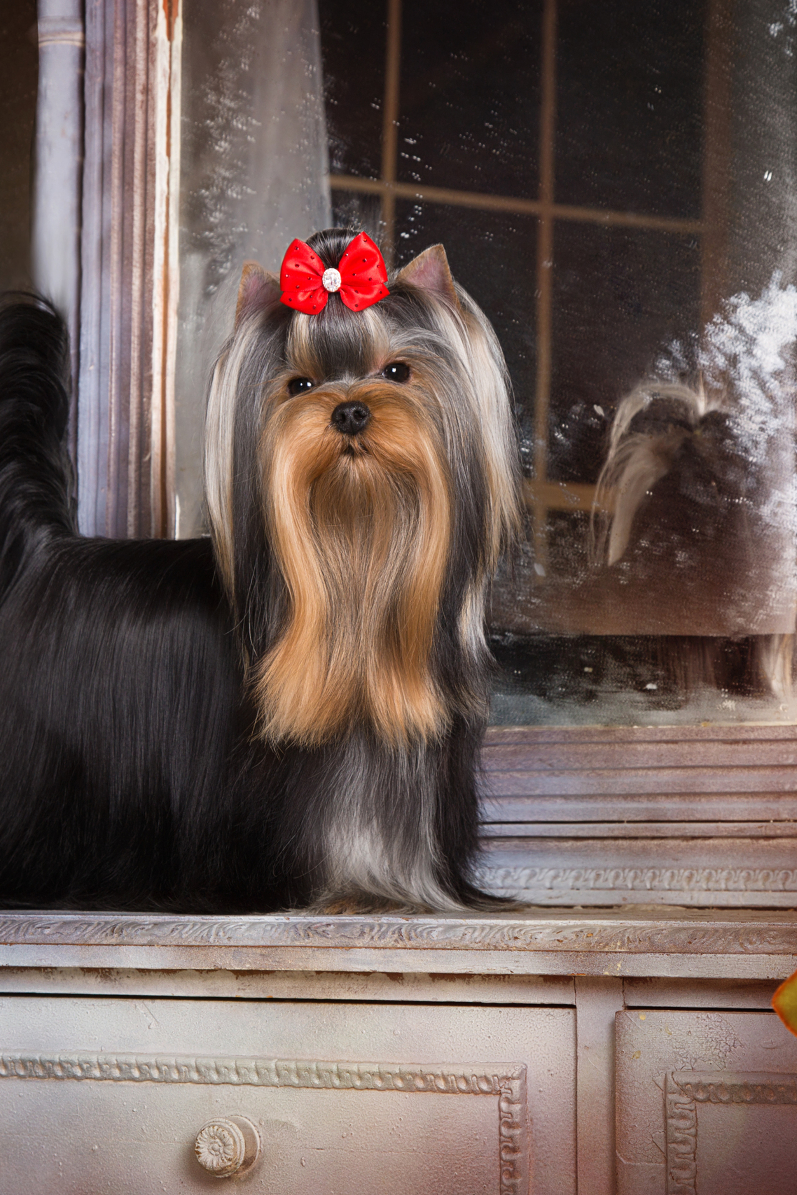 Julja Popova (6 фото)