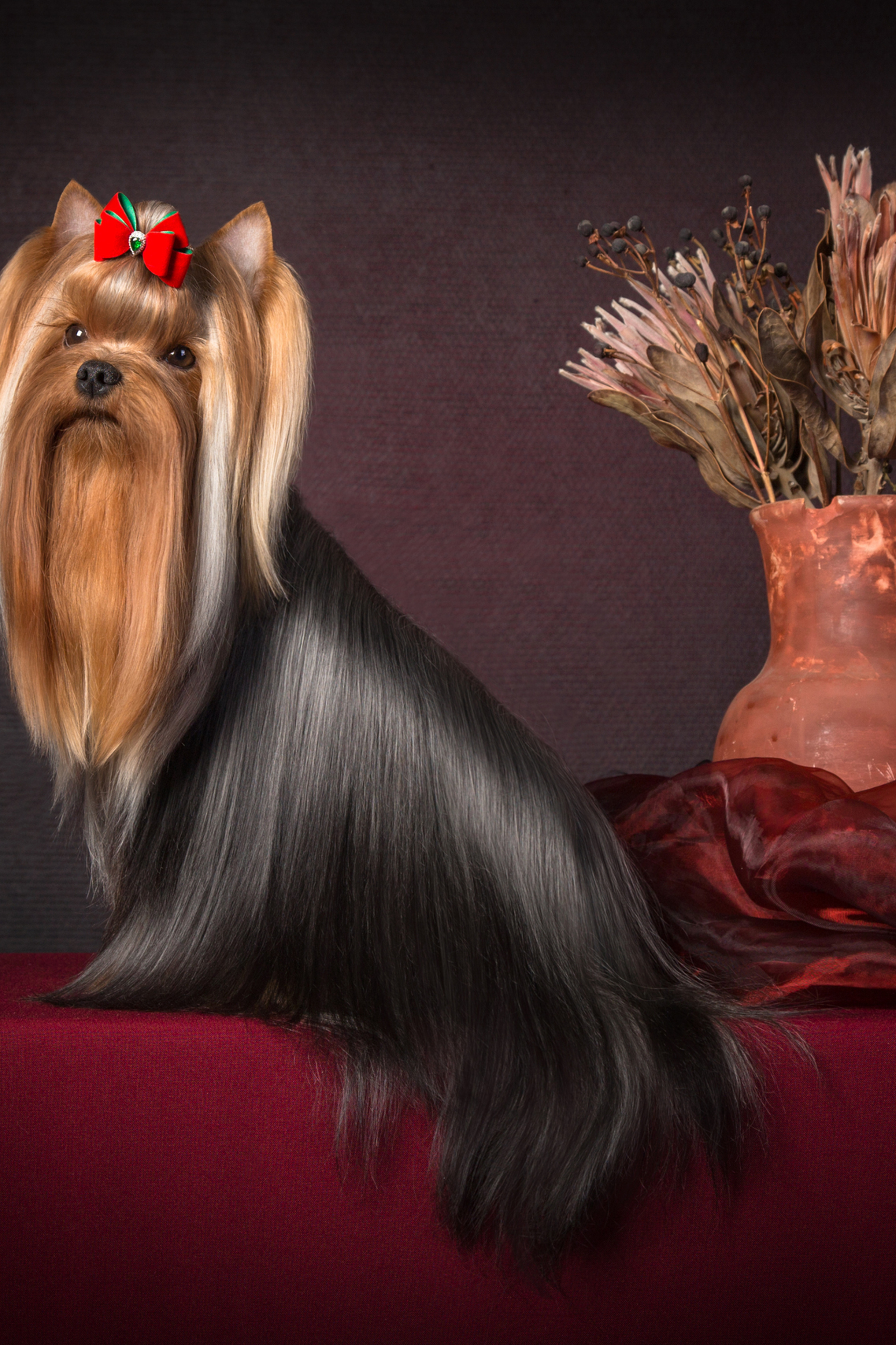 Pont — Yulya Osipova (9 фото)