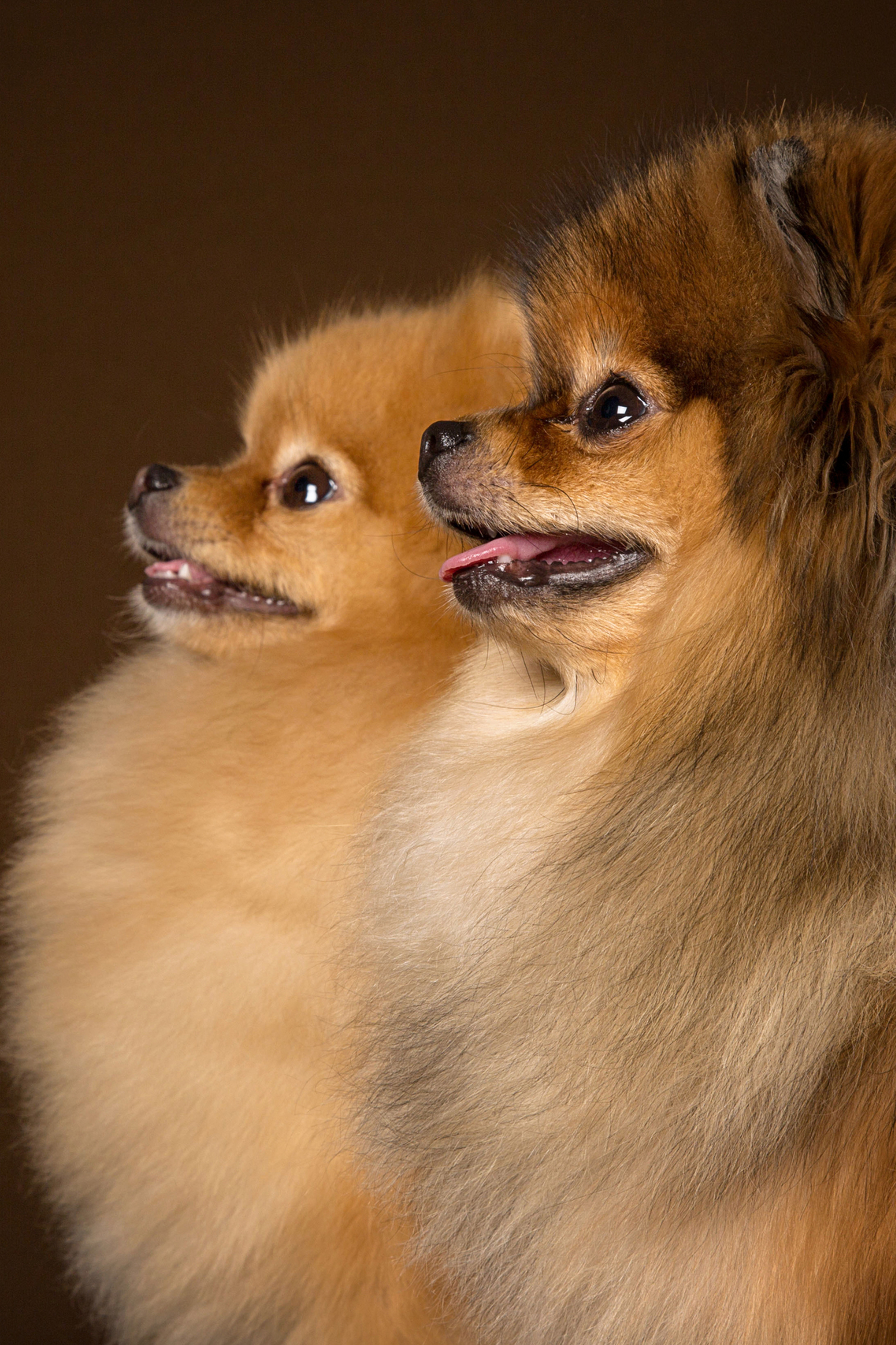 Sisi Blue (7 фото)