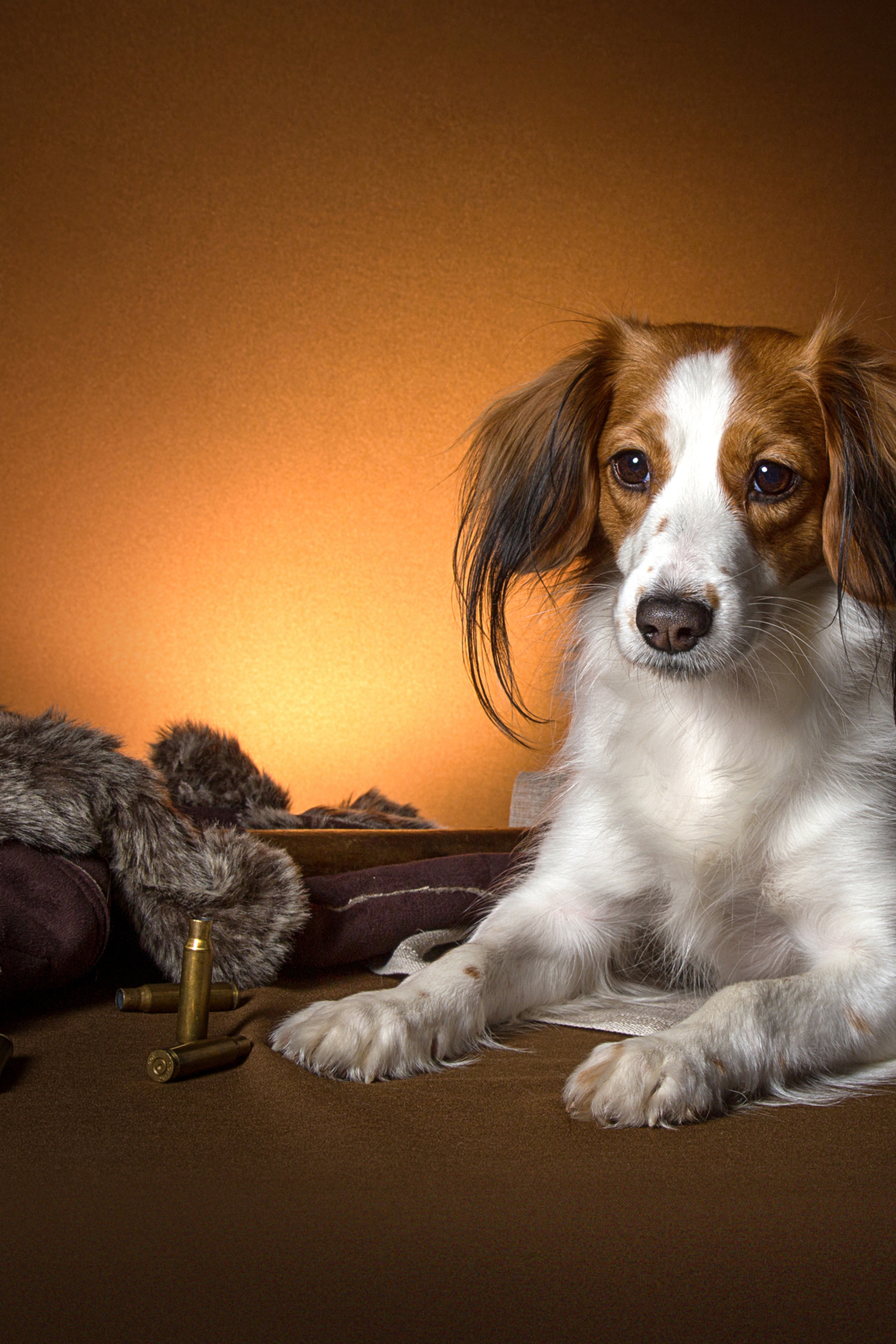 Ira Bogdan (11 фото)