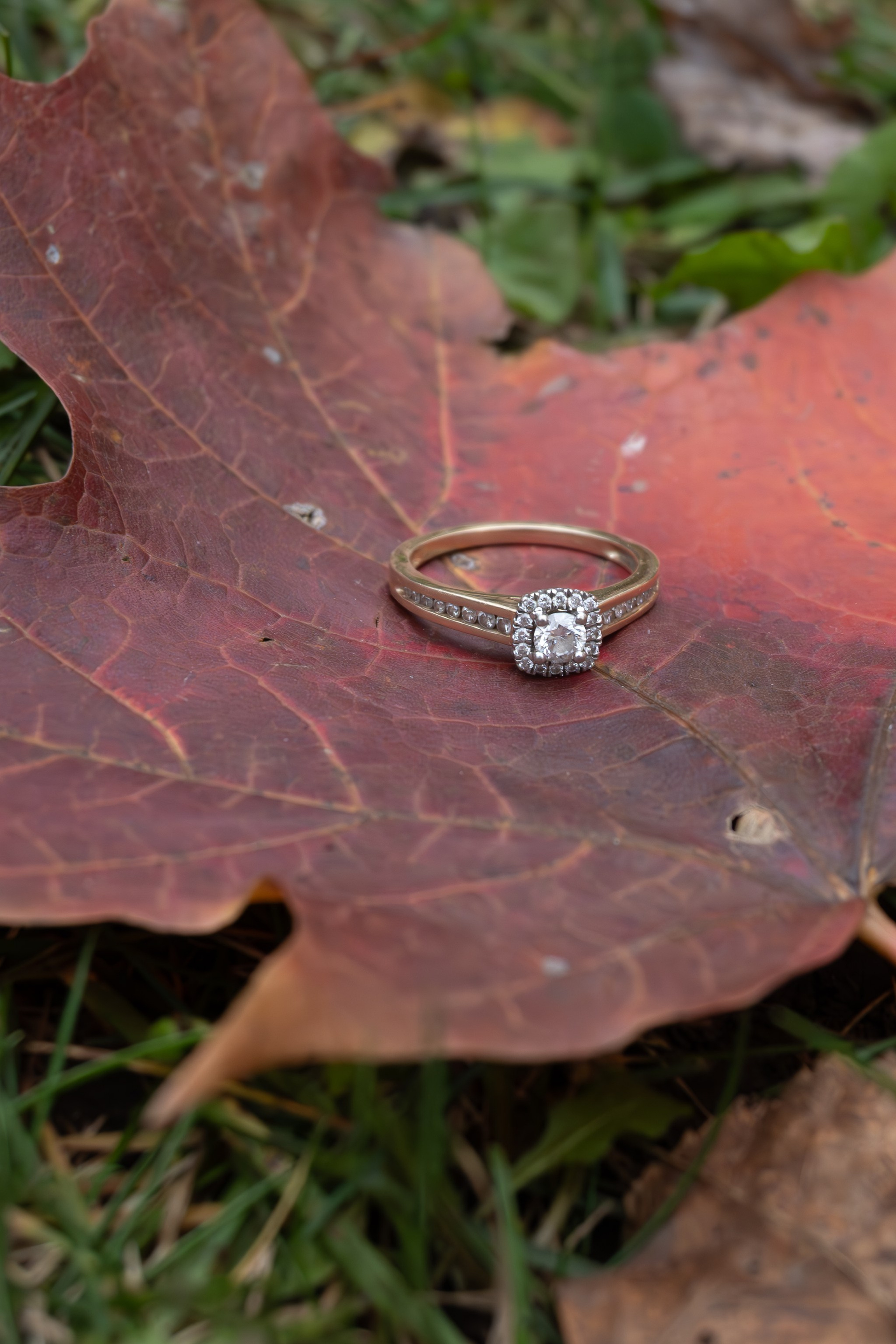 Engagement