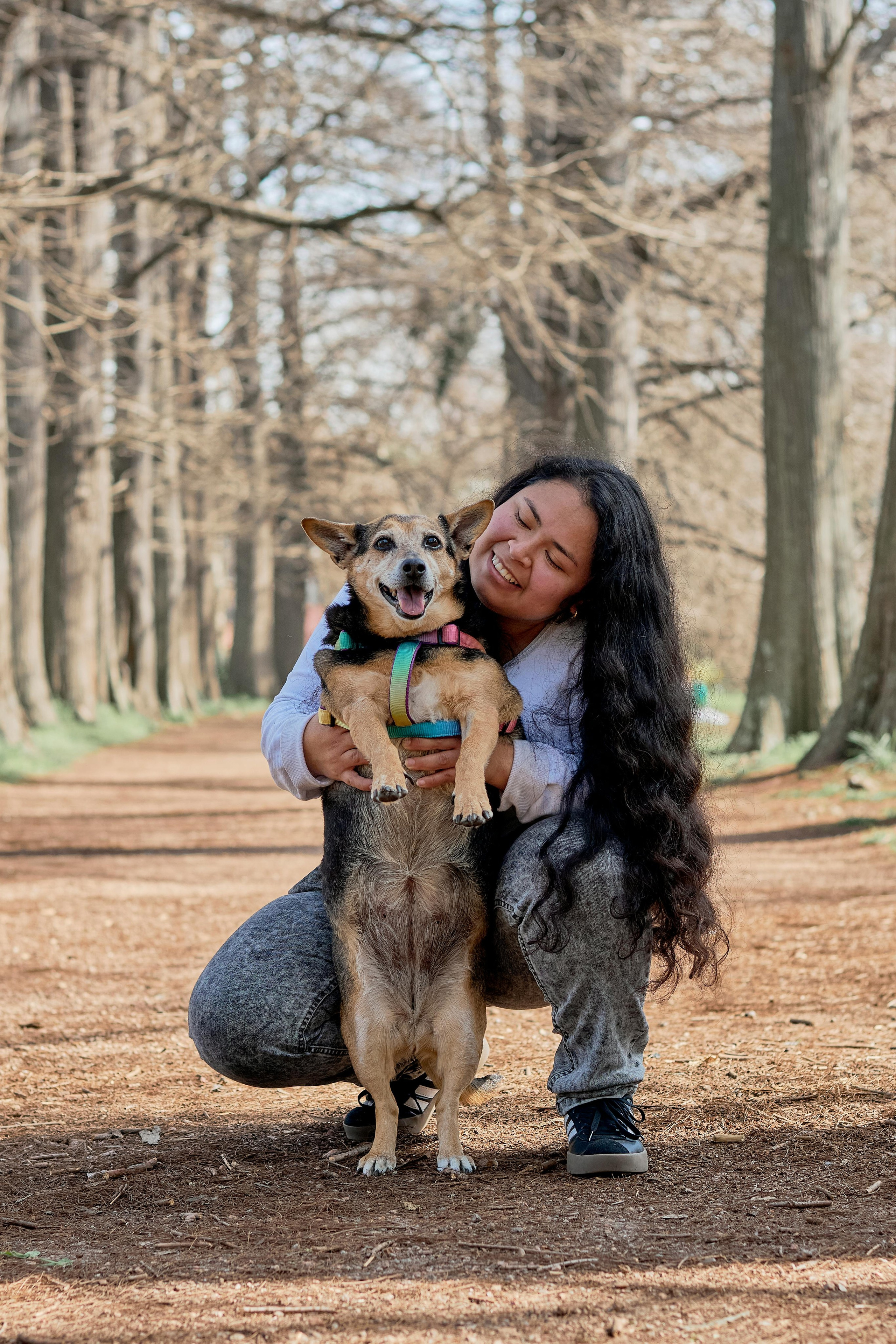 Blog de Valssy: historias, fotografía y mascotas. Valssy – Fotografía de mascotas en Uruguay. Retratos profesionales de perros y gatos