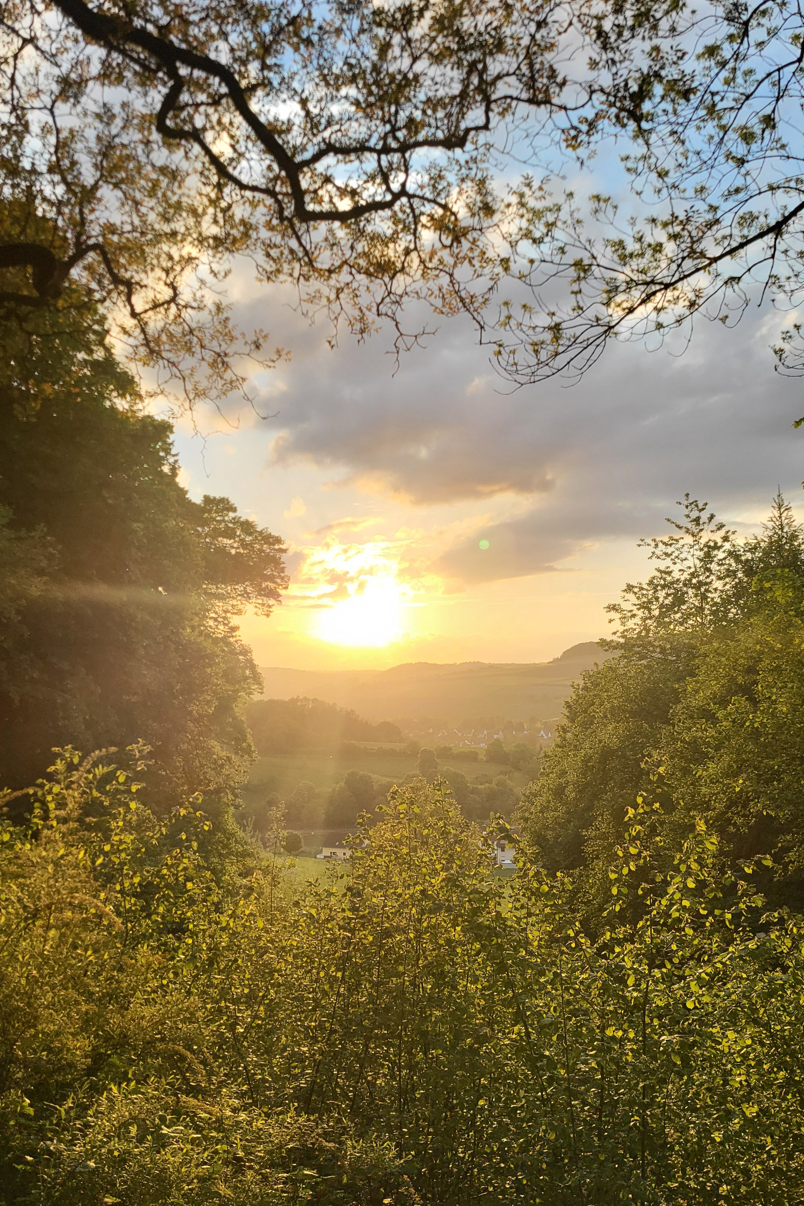 Blog. Schwarz-weiß Fotografie in Münster. Fotografin Viktoria Roschen