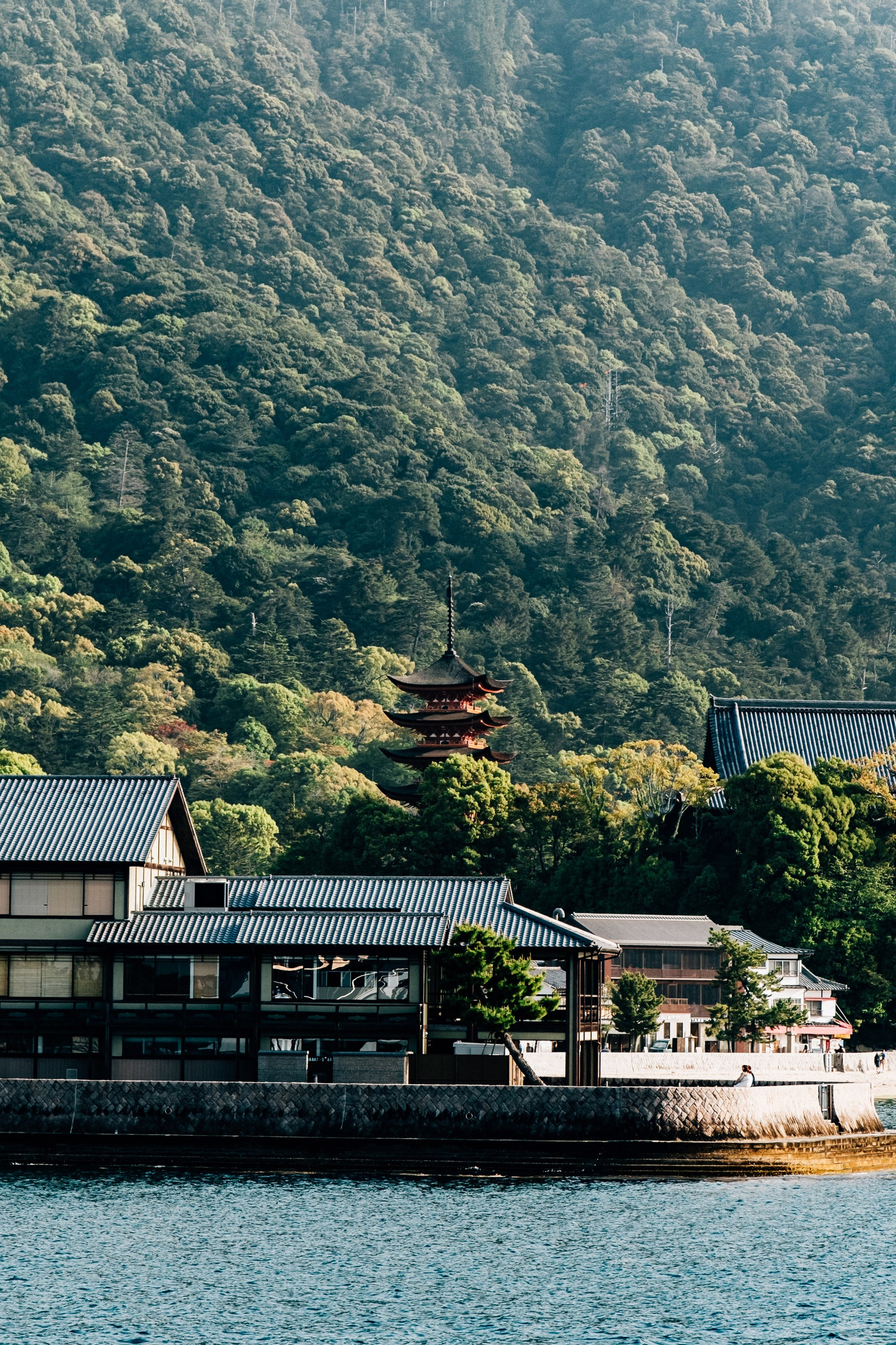 Tim + Karina - PRE - Wedding- Japan - Isola di Miyajima