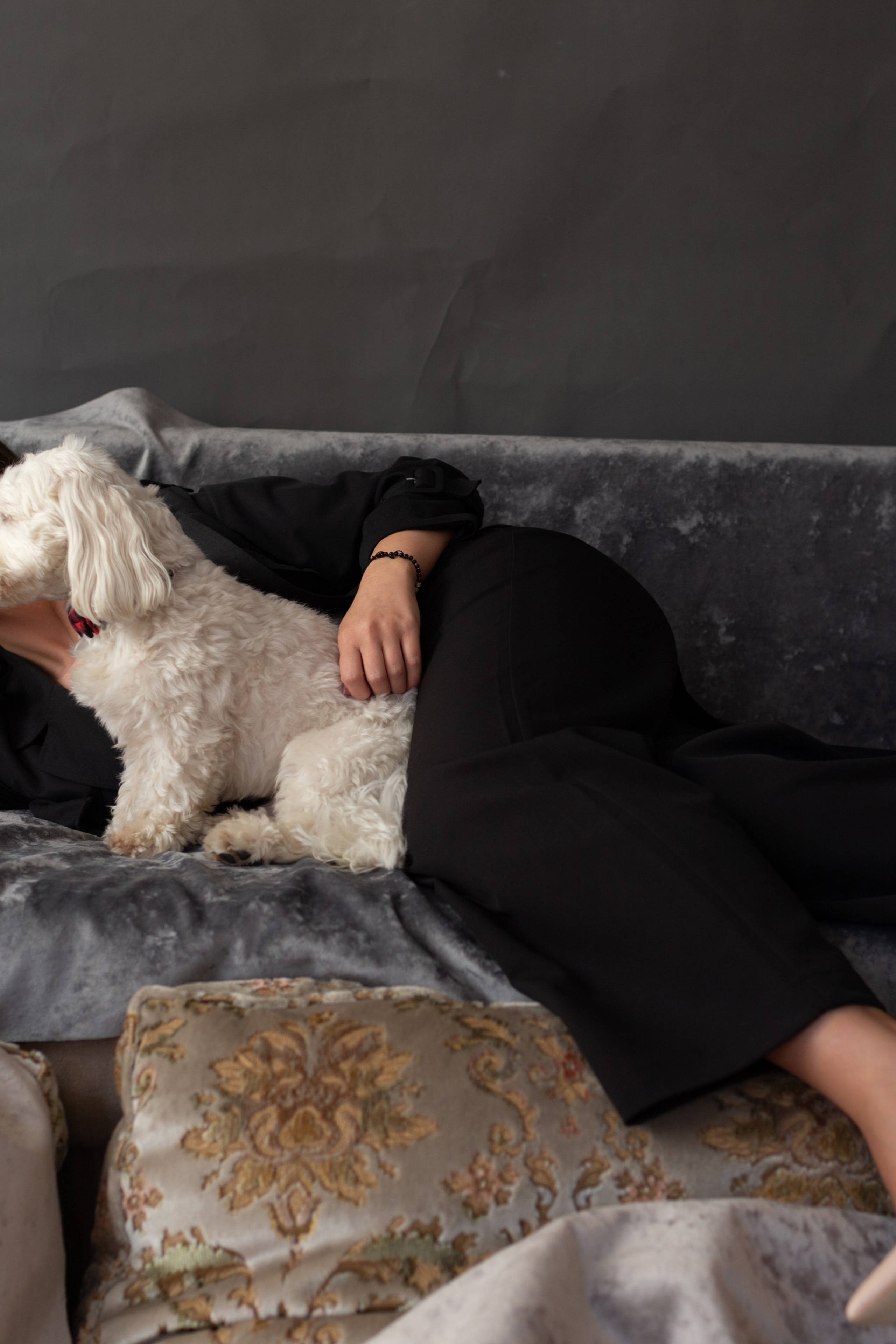 IASMINA. CCORNEA PHOTOGRAPHY