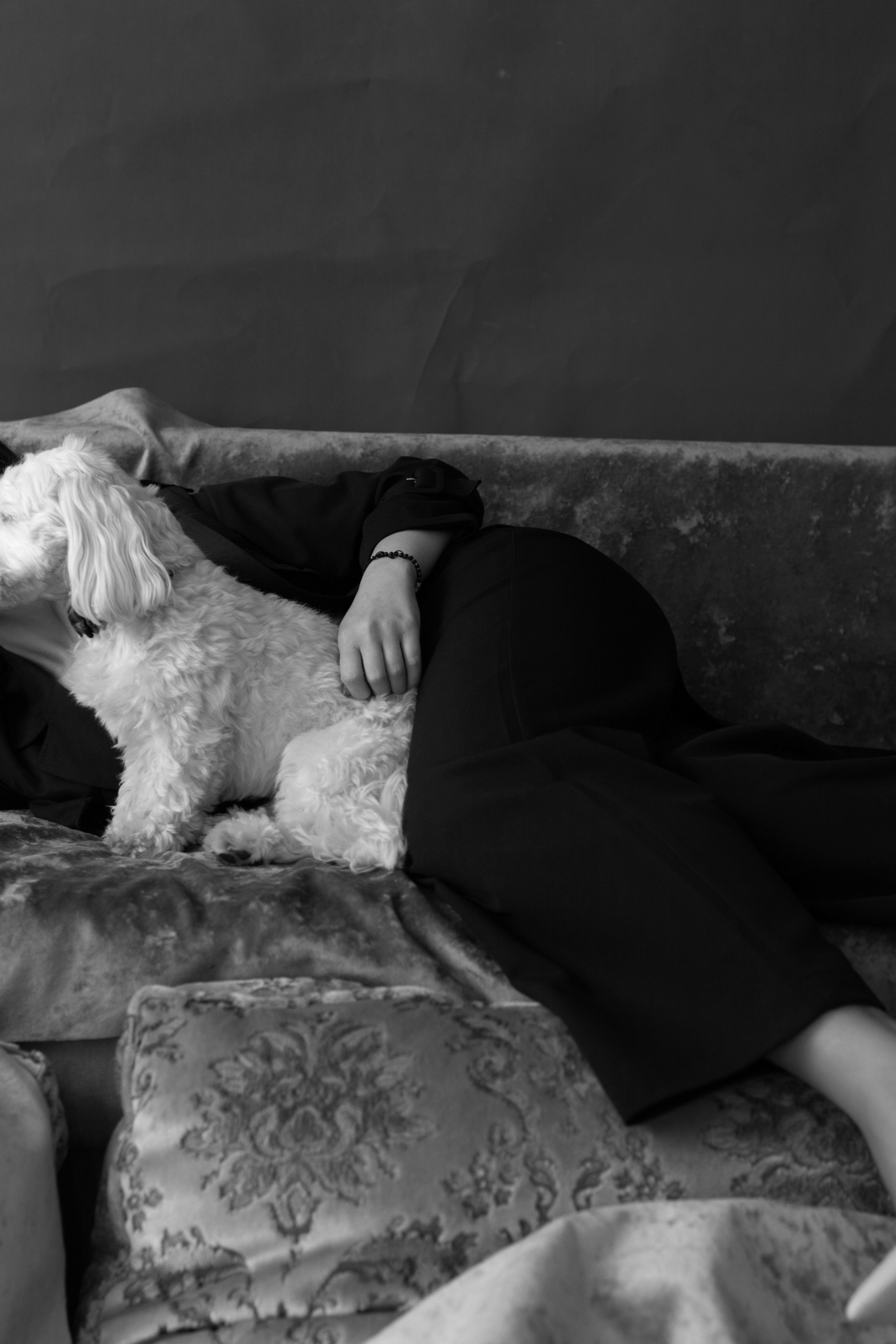 IASMINA. CCORNEA PHOTOGRAPHY