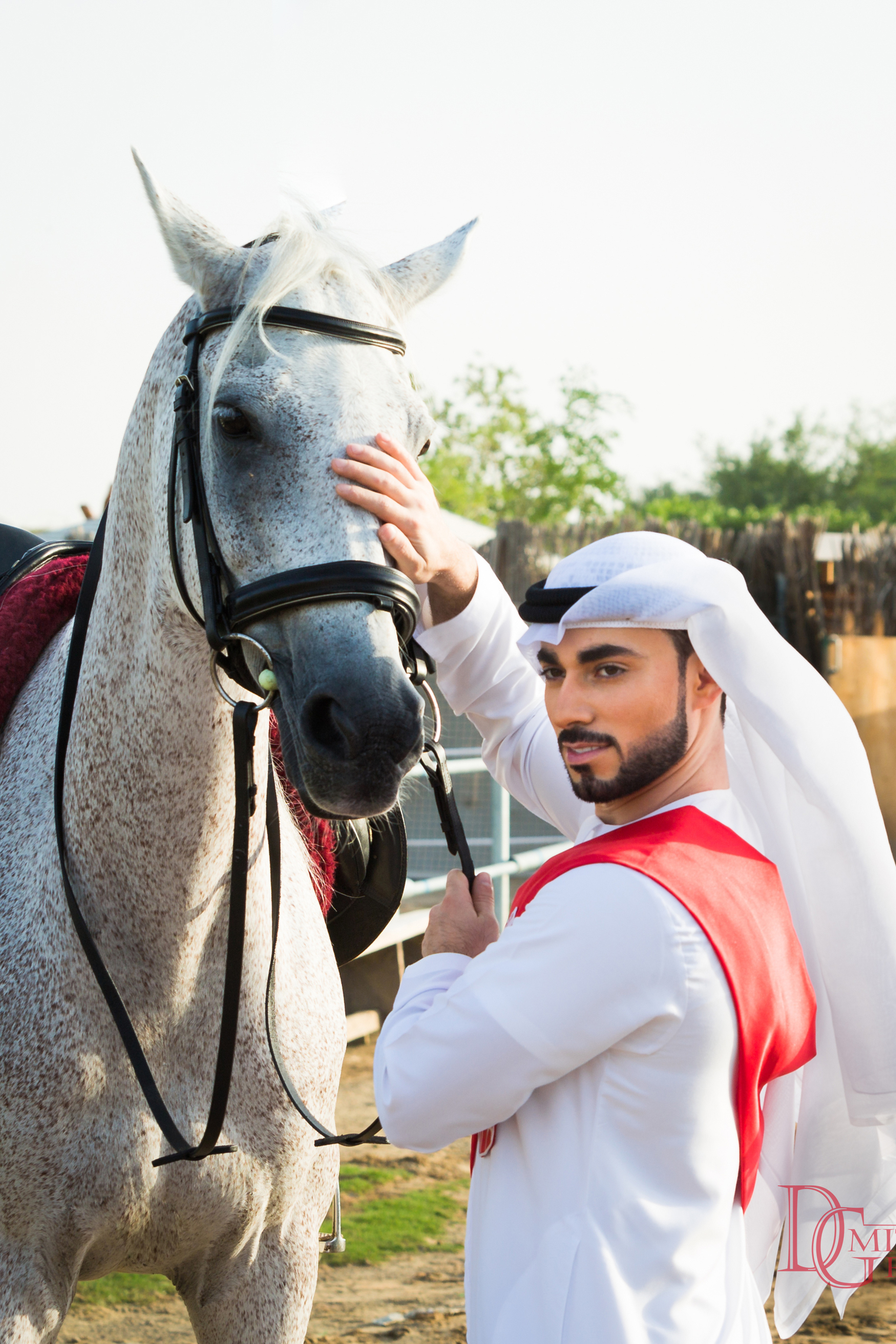 Horse photo session Dubai. Photographer in Dubai Dmitry Gromov